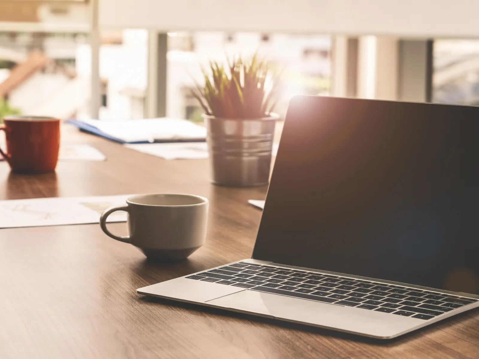 Modern office desk with laptop, coffee mugs, plant, and documents in bright sunlight by window.