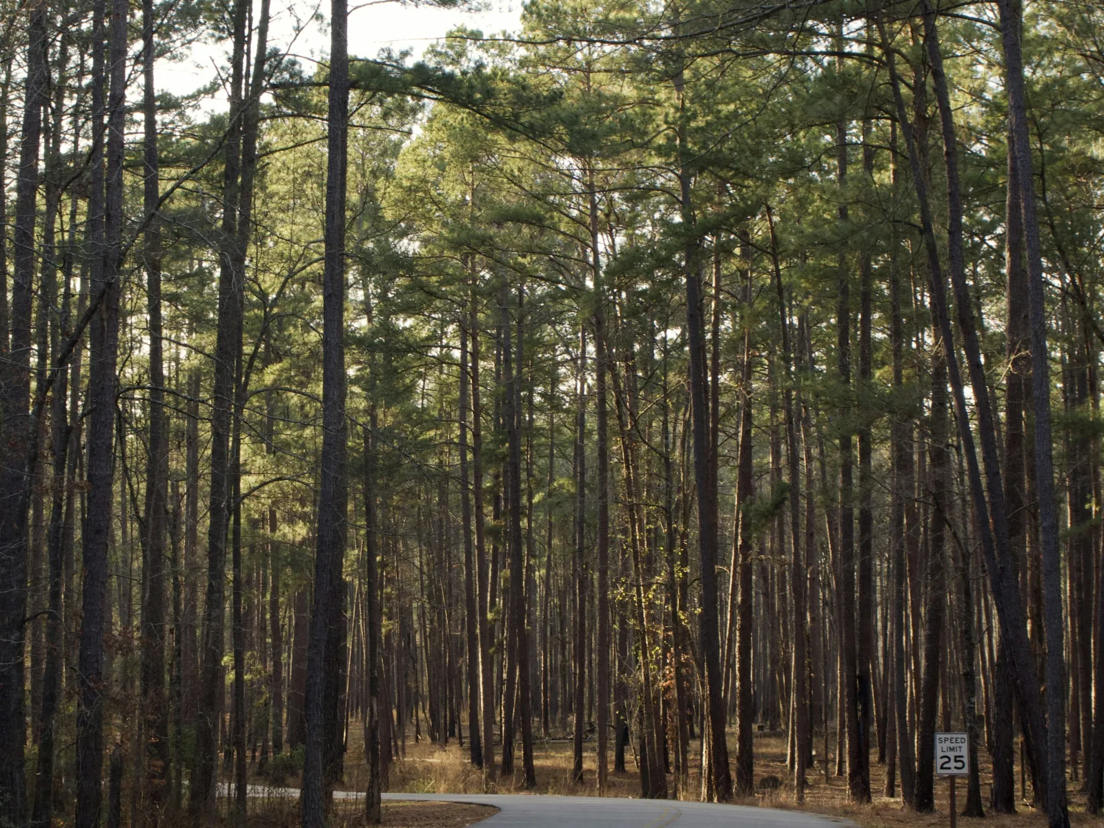 Residential and Commercial Inspection in West Lake Wylie, West Lake Wylie Home Inspections, West Lake Wylie Home Inspector, a home pro inspector in West Lake Wylie, FAA Certified Drone Inspections in West Lake Wylie, Sewer Scope Inspections in West Lake Wylie, FAQs