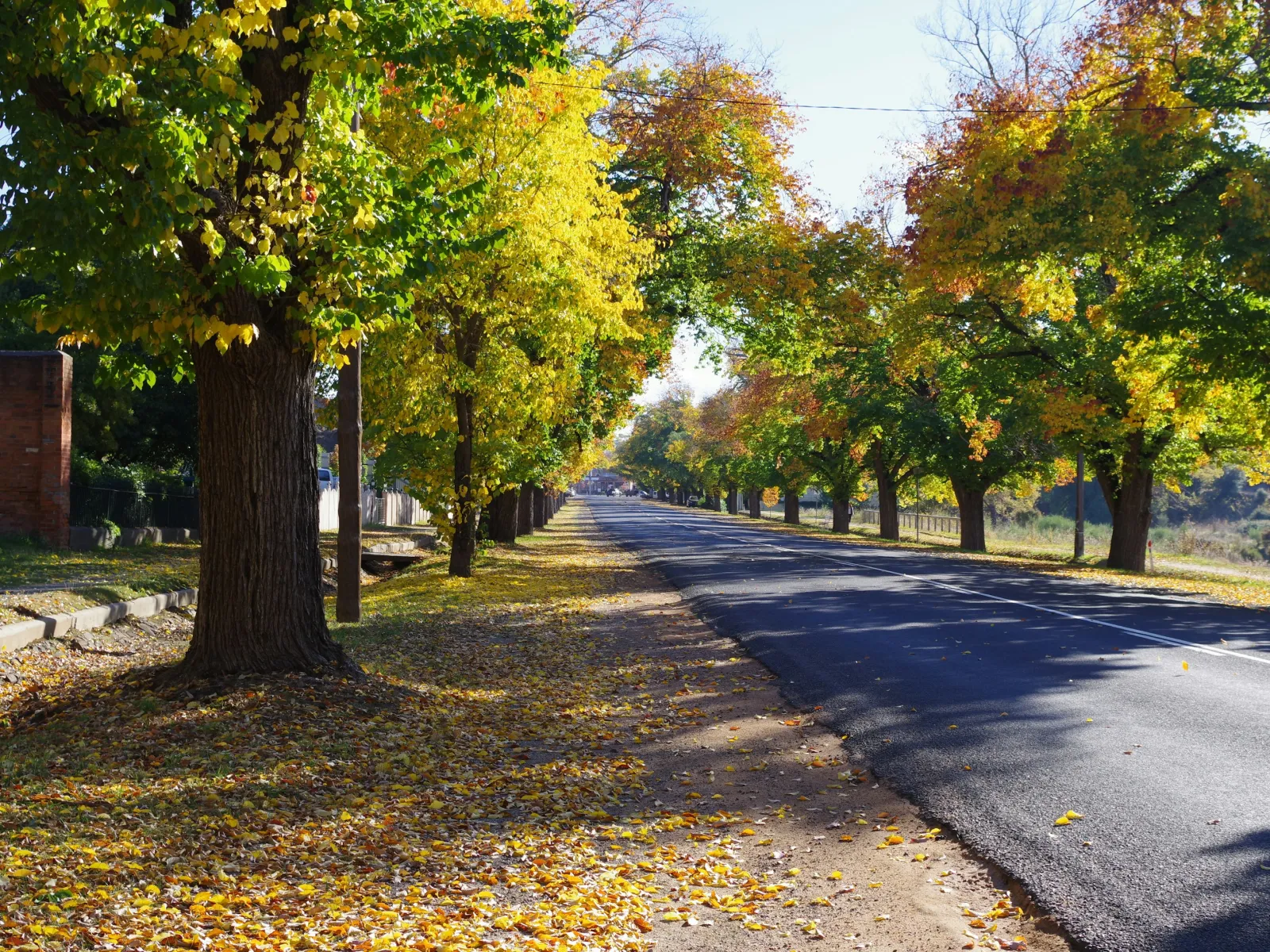 Residential and Commercial Inspection in Elm City, Elm City Home Inspections, Elm City Home Inspector, a home pro inspector in Elm City, FAA Certified Drone Inspections in Elm City, Sewer Scope Inspections in Elm City, FAQs