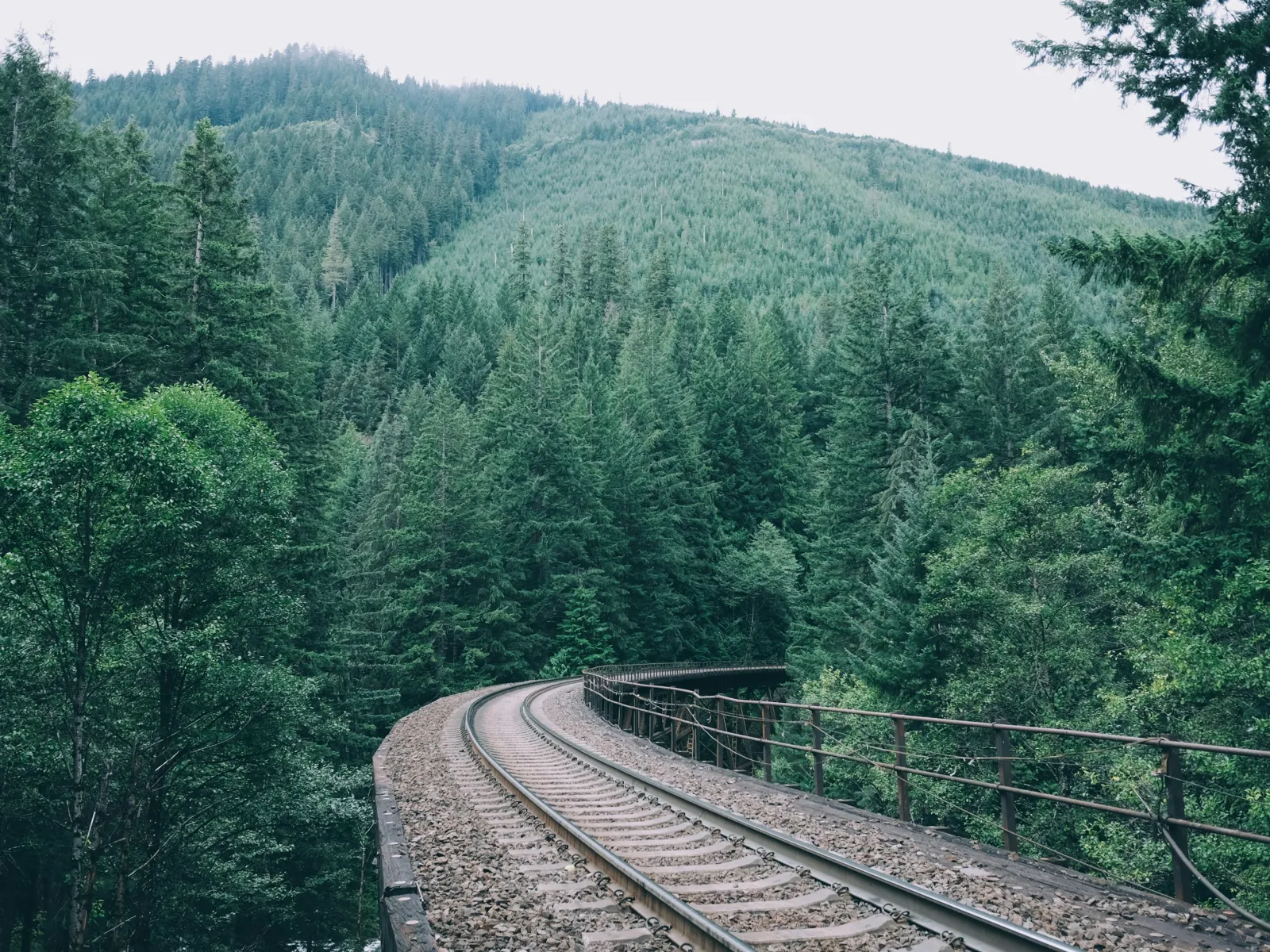 Residential and Commercial Inspection in Pine Level, Pine Level Home Inspections, Pine Level Home Inspector, a home pro inspector in Pine Level, FAA Certified Drone Inspections in Pine Level, Sewer Scope Inspections in Pine Level, FAQs