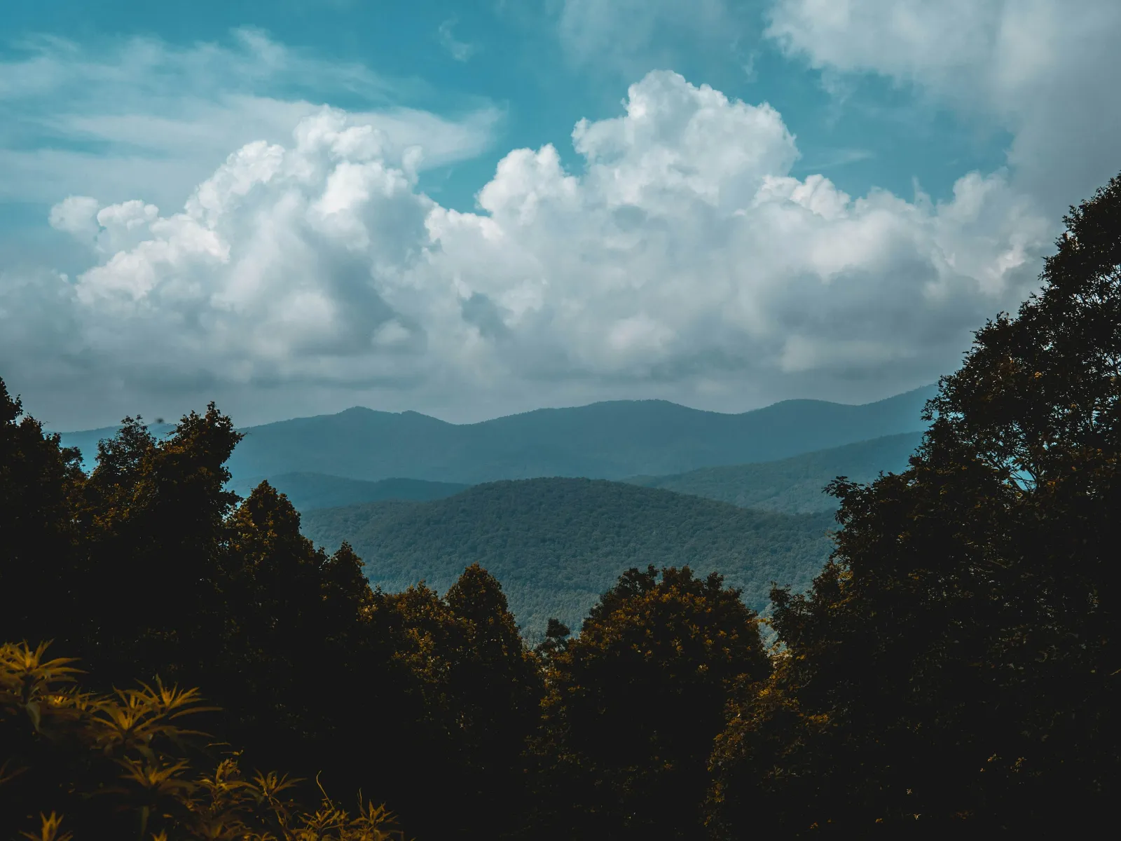 Residential and Commercial Inspection in Fort Mill, Fort Mill Home Inspections, Fort Mill Home Inspector, a home pro inspector in Fort Mill, FAA Certified Drone Inspections in Fort Mill, Sewer Scope Inspections in Fort Mill, FAQs