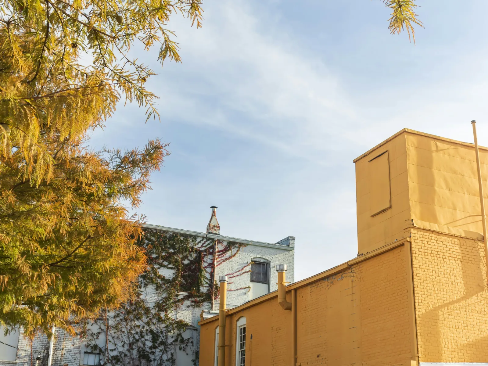 Residential and Commercial Inspection in Lake Park, Lake Park Home Inspections, Lake Park Home Inspector, a home pro inspector in Lake Park, FAA Certified Drone Inspections in Lake Park, Sewer Scope Inspections in Lake Park, FAQs