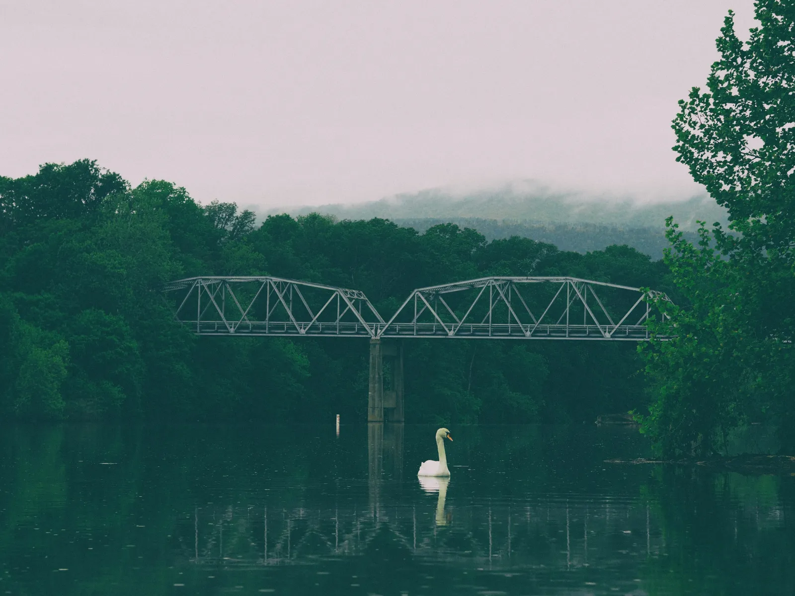 Home Inspectors in Coalmont, Tennessee, Marion County, 37387 Home Inspections, Certified Home Inspectors, Residential and Commercial Home Inspections in Coalmont, Tennessee, Marion County, 37387