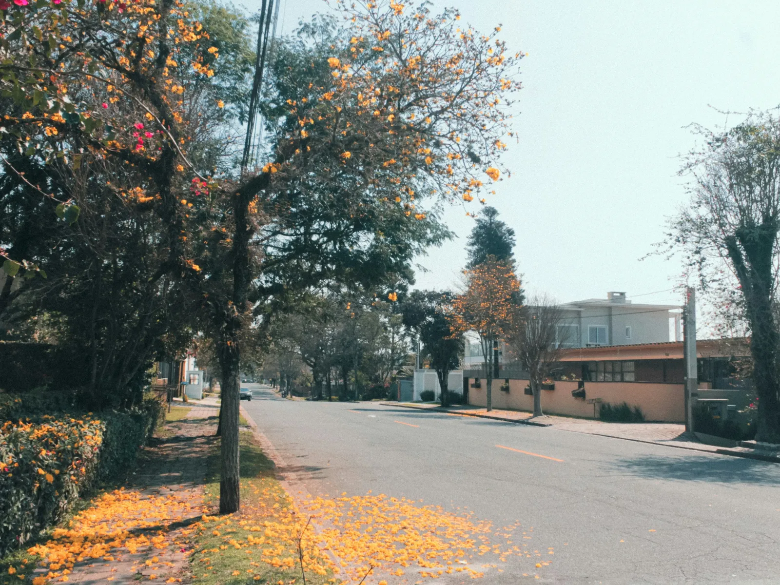 Home Inspectors in Harrison, GA, Washington County, 31031, 30229 Home Inspections, Certified Home Inspectors, Residential and Commercial Home Inspections in Harrison, GA, Washington County