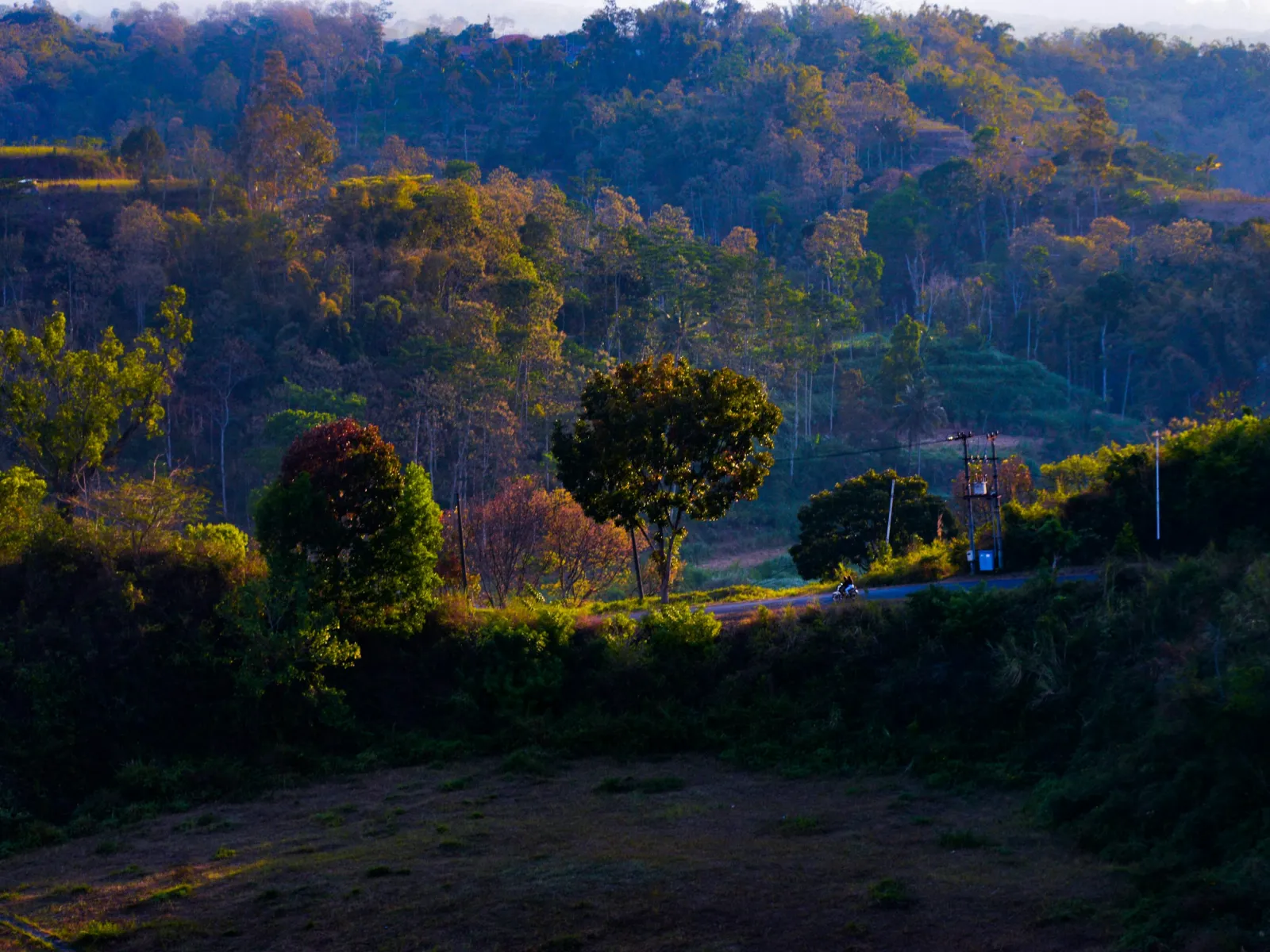 Home Inspectors in Lancaster, SC, Lancaster, 29720 Home Inspections, Certified Home Inspectors, Residential and Commercial Home Inspections in Lancaster, SC, Lancaster, 29720