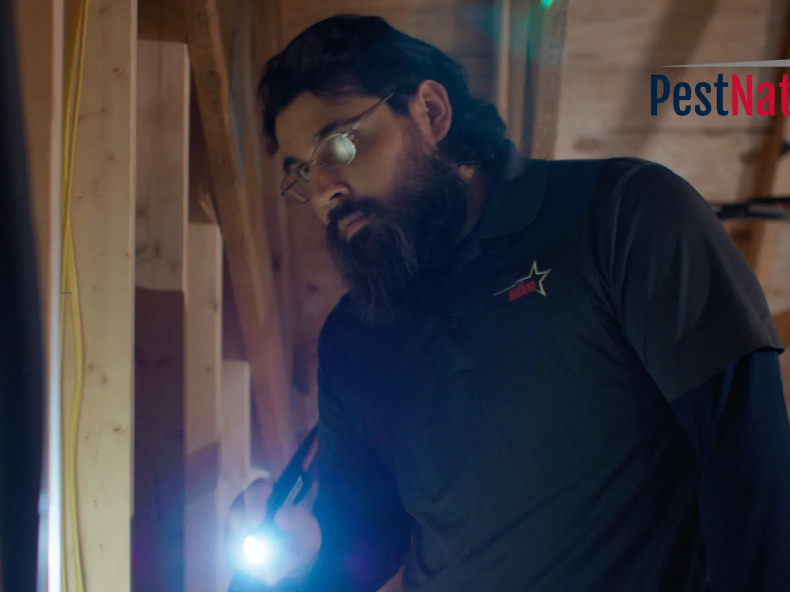 Pest control technician inspecting attic insulation with flashlight, wearing PestNation uniform and logo visible