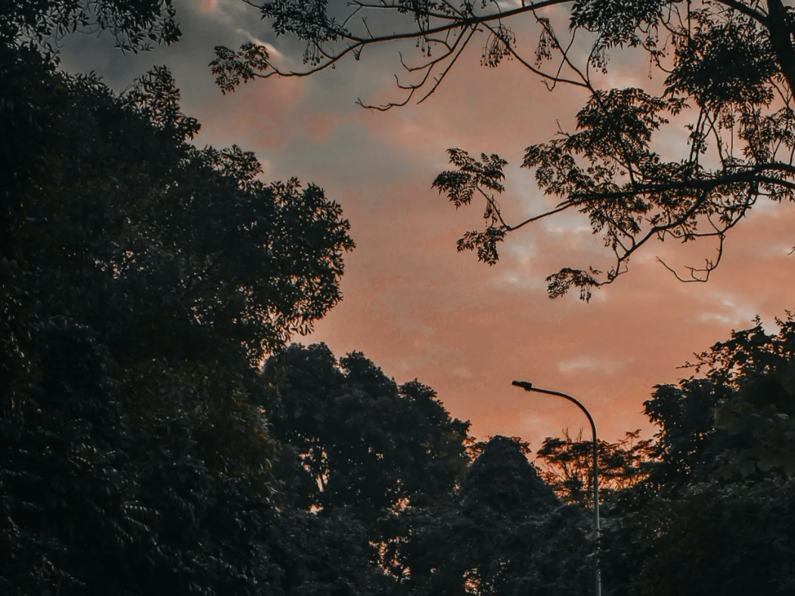 Home Inspectors in Eden, Eden Home Inspections, Certified Home Inspectors, Residential and Commercial Home Inspections in Eden, Effingham, 31307