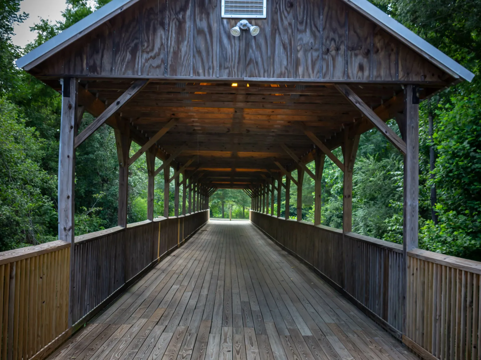 McDonough Historical Photo, 30252, 30253