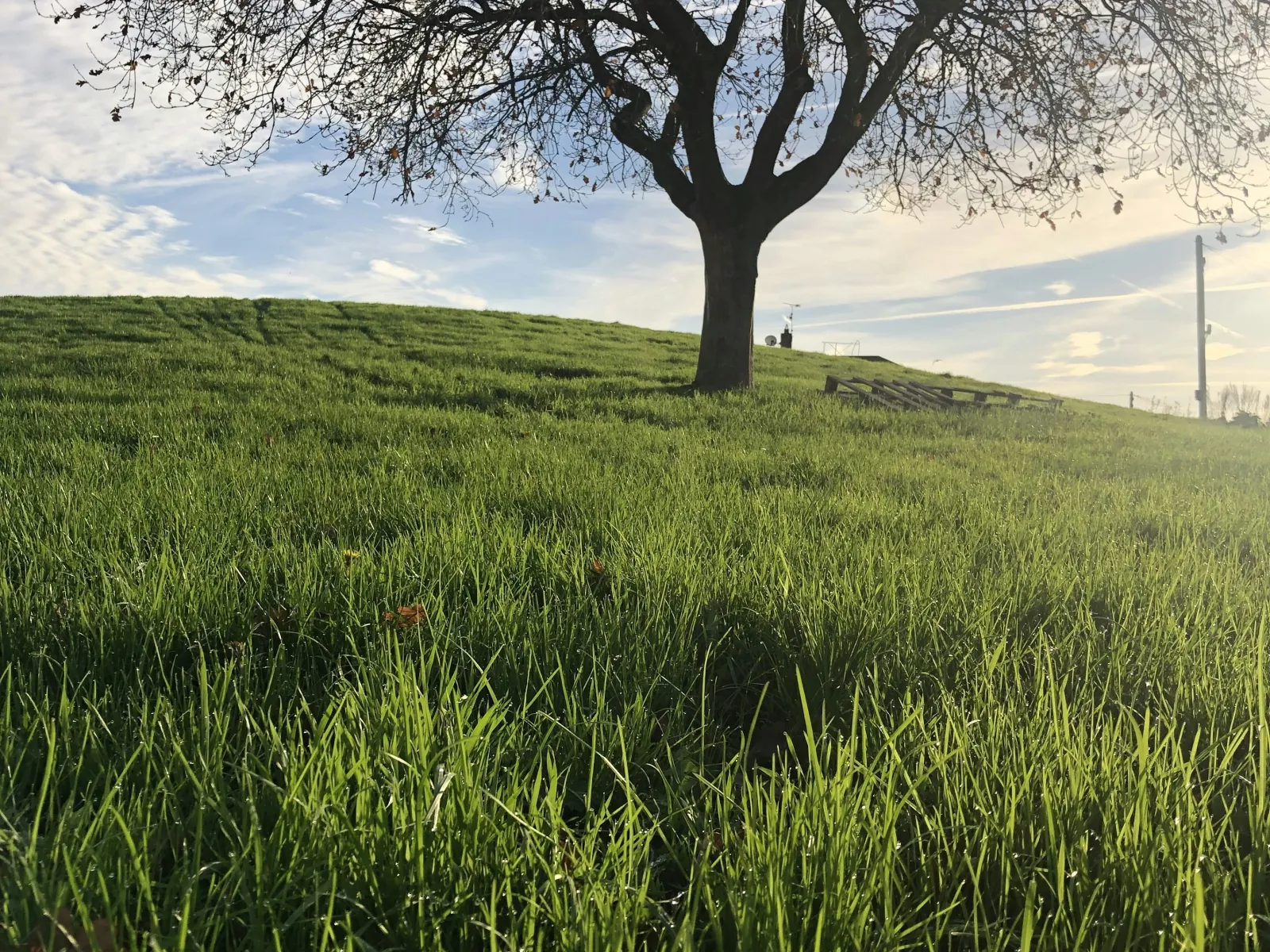 Home Inspectors in Pendergrass, GA, Jackson County, 30567 Home Inspections, Certified Home Inspectors, Residential and Commercial Home Inspections in Pendergrass, GA, Jackson County, 30567