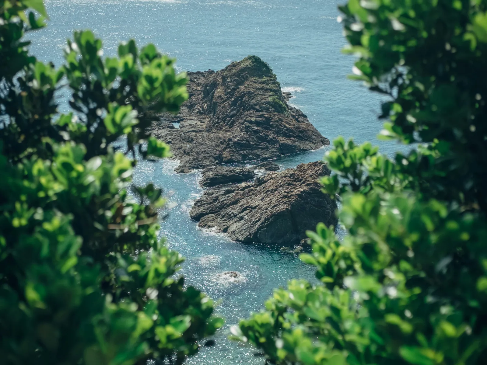 Home Inspectors in Saint Helena Island, SC, Beaufort, 29920 Home Inspections, Certified Home Inspectors, Residential and Commercial Home Inspections in Saint Helena Island, SC, Beaufort, 29920