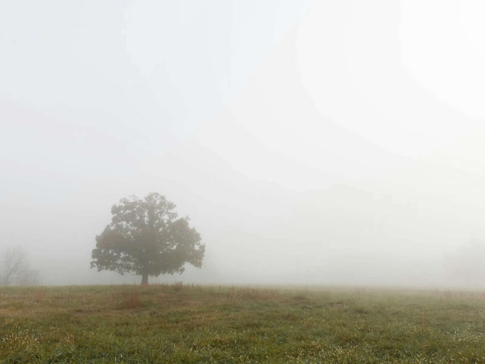 Residential and Commercial Inspection in Locust Grove, Locust Grove Home Inspections, Locust Grove Home Inspector, a home pro inspector in Locust Grove, FAA Certified Drone Inspections in Locust Grove, Sewer Scope Inspections in Locust Grove, FAQs