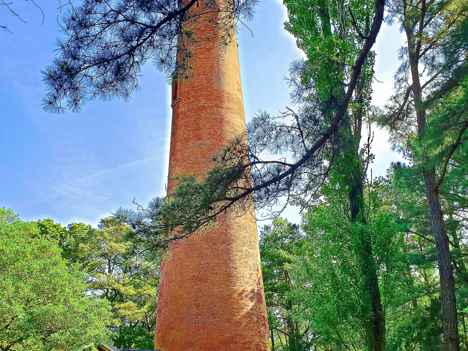 Home Inspectors in Estill, SC, Hampton, 29918 Home Inspections, Certified Home Inspectors, Residential and Commercial Home Inspections in Estill, SC, Hampton, 29918