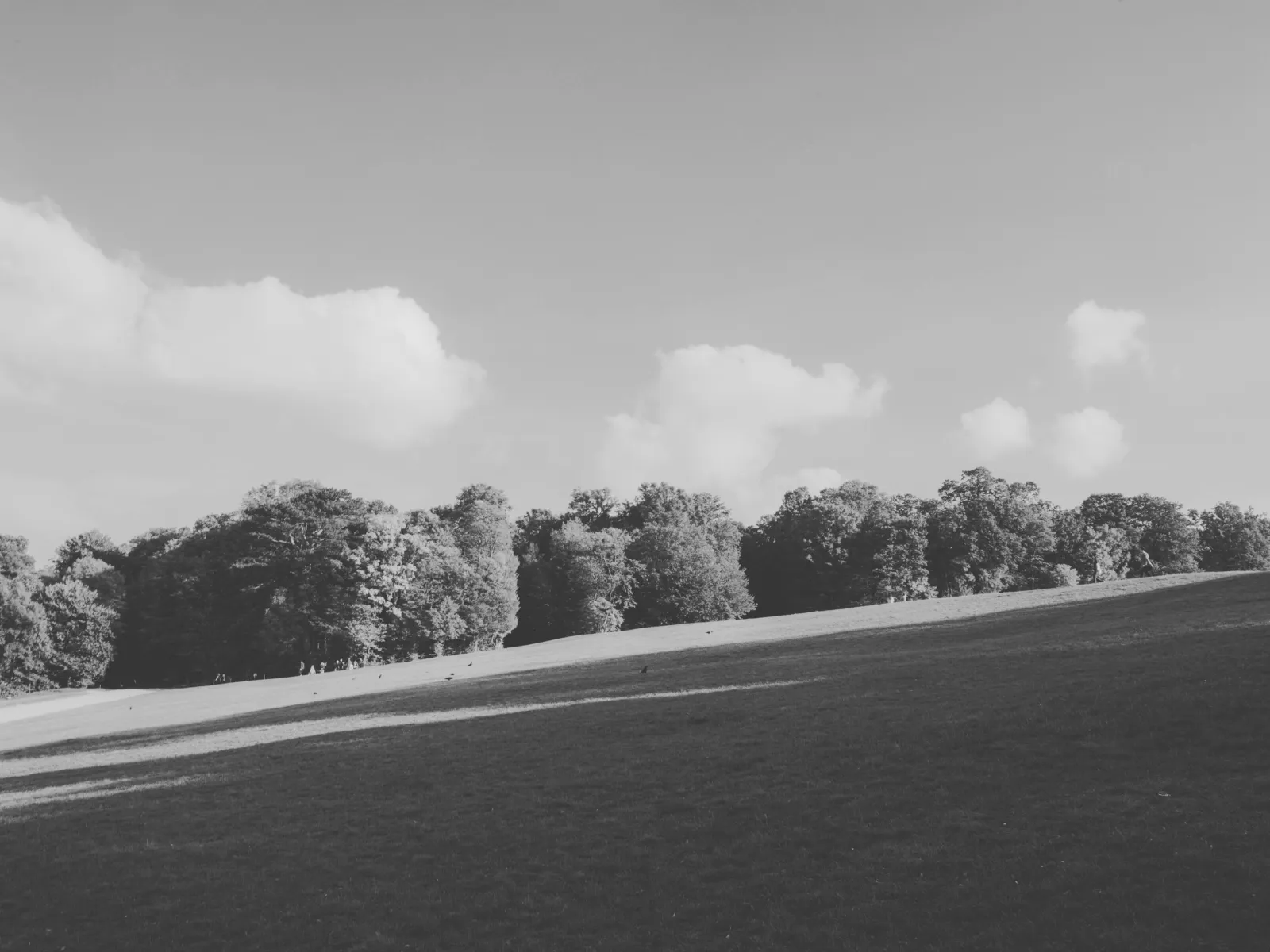 Home Inspectors in Rhine, GA, Dodge County, 31077 Home Inspections, Certified Home Inspectors, Residential and Commercial Home Inspections in Rhine, GA, Dodge County, 31077