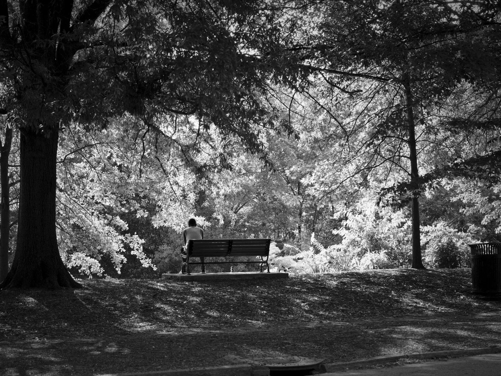 Home Inspectors in Sanford, NC, Lee, 27332 Home Inspections, Certified Home Inspectors, Residential and Commercial Home Inspections in Sanford, NC, Lee, 27332