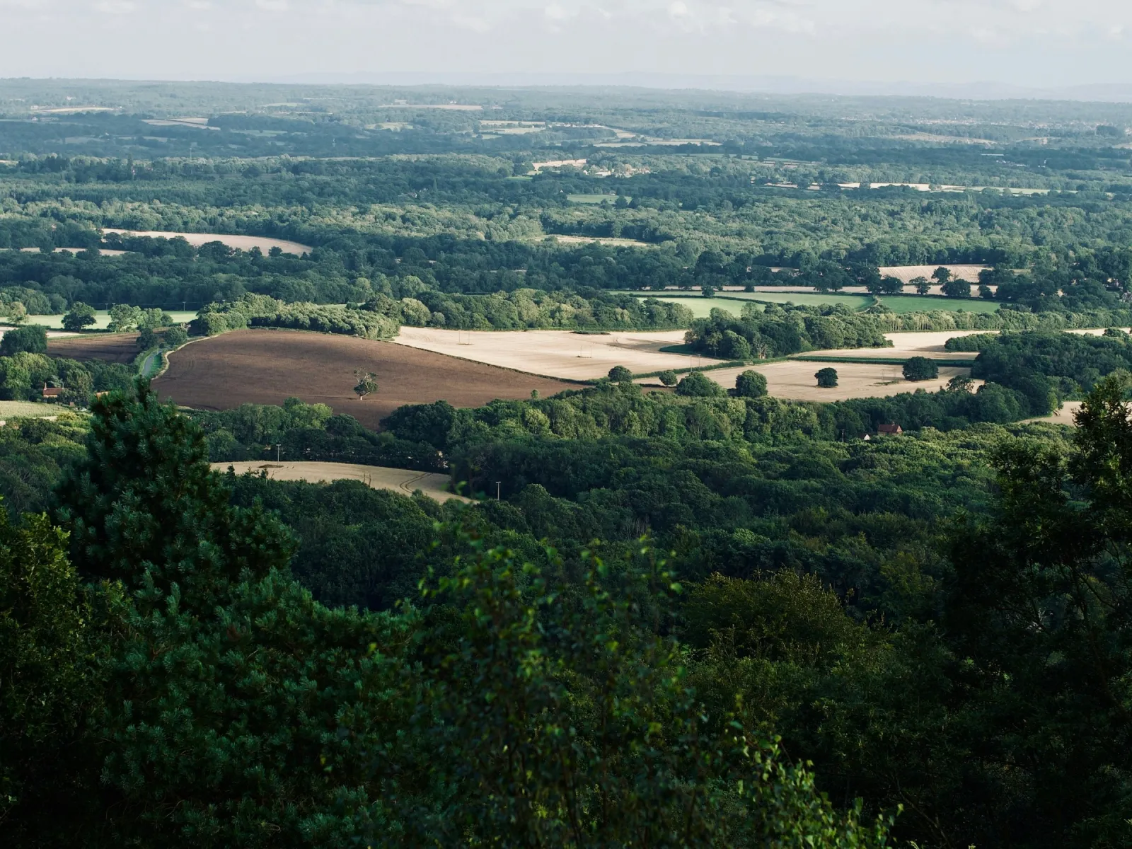 Home Inspectors in Kittrell, NC, Vance, 27544 Home Inspections, Certified Home Inspectors, Residential and Commercial Home Inspections in Kittrell, NC, Vance, 27544