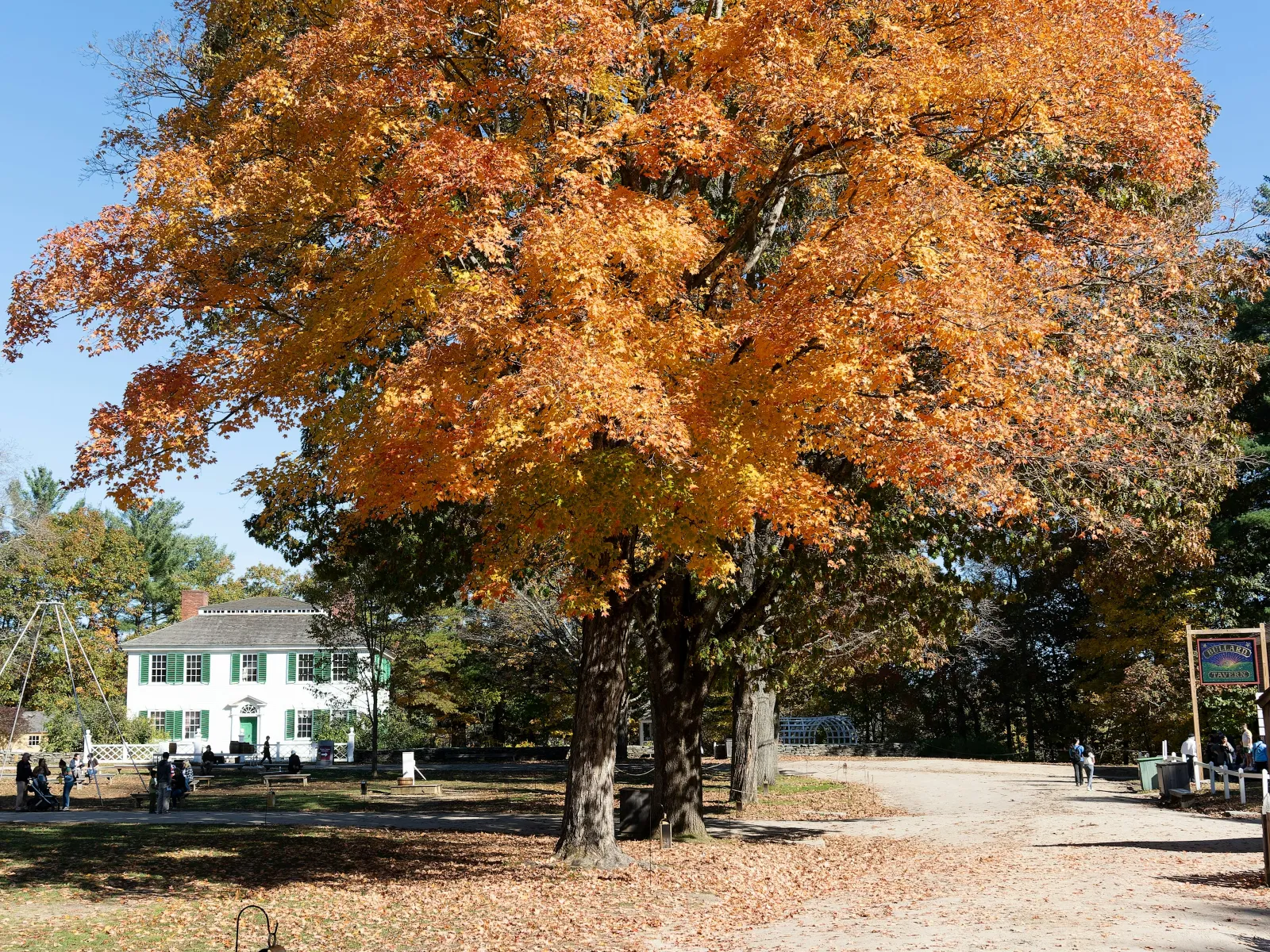 Home Inspectors in Sandersville, GA, Washington, 31082 Home Inspections, Certified Home Inspectors, Residential and Commercial Home Inspections in Sandersville, GA, Washington, 31082