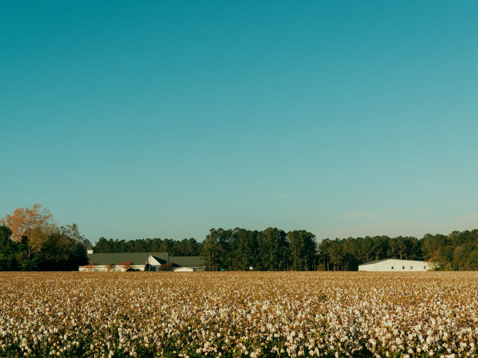 Home Inspectors in Richfield, NC, Stanly, 28137 Home Inspections, Certified Home Inspectors, Residential and Commercial Home Inspections in Richfield, NC, Stanly, 28137