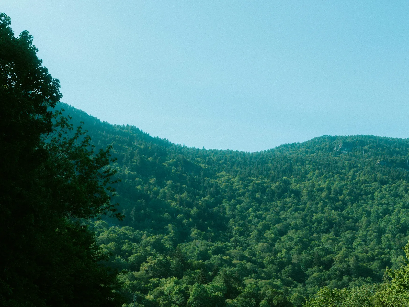 Home Inspectors in Butner, NC, Granville County, 27509 Home Inspections, Certified Home Inspectors, Residential and Commercial Home Inspections in Butner, NC, Granville County, 27509