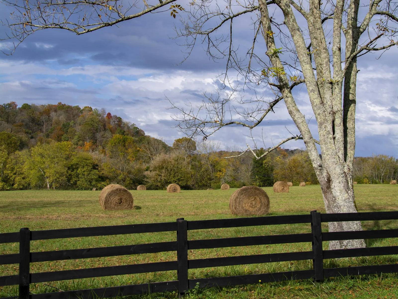 Home Inspectors in Locust, NC, Stanly, 28097 Home Inspections, Certified Home Inspectors, Residential and Commercial Home Inspections in Locust, NC, Stanly, 28097