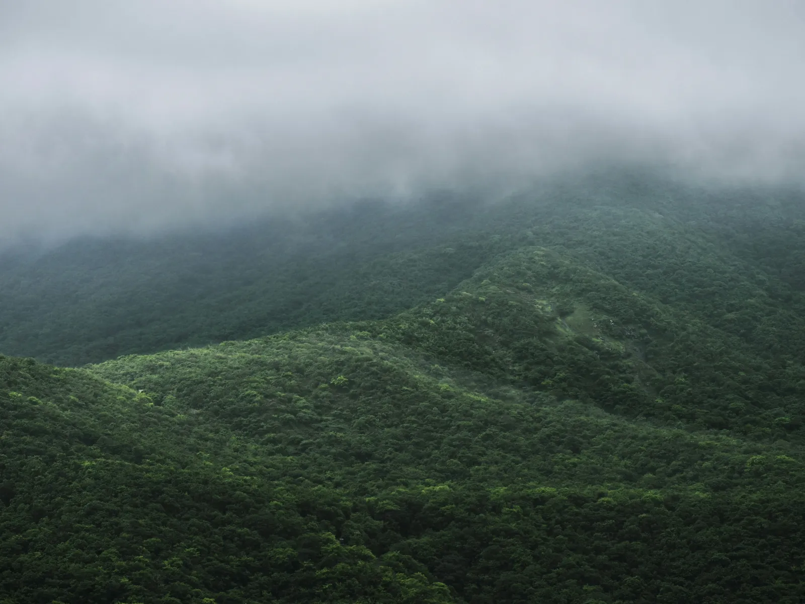 Home Inspectors in Signal Mountain, TN, Hamilton County, 37377 Home Inspections, Certified Home Inspectors, Residential and Commercial Home Inspections in Signal Mountain, TN, Hamilton County, 37377