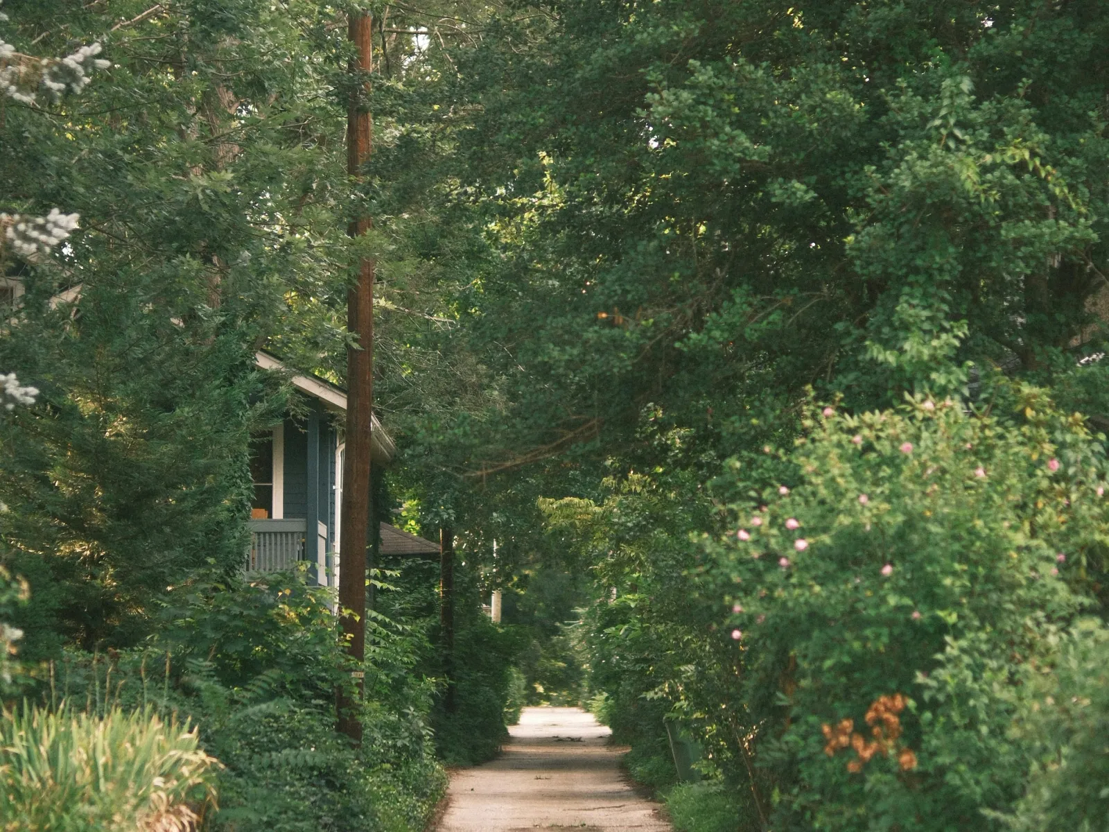 Home Inspectors in Pineview, GA, Dooly, Wilcox, 31072 Home Inspections, Certified Home Inspectors, Residential and Commercial Home Inspections in Pineview, GA, Dooly, Wilcox, 31072