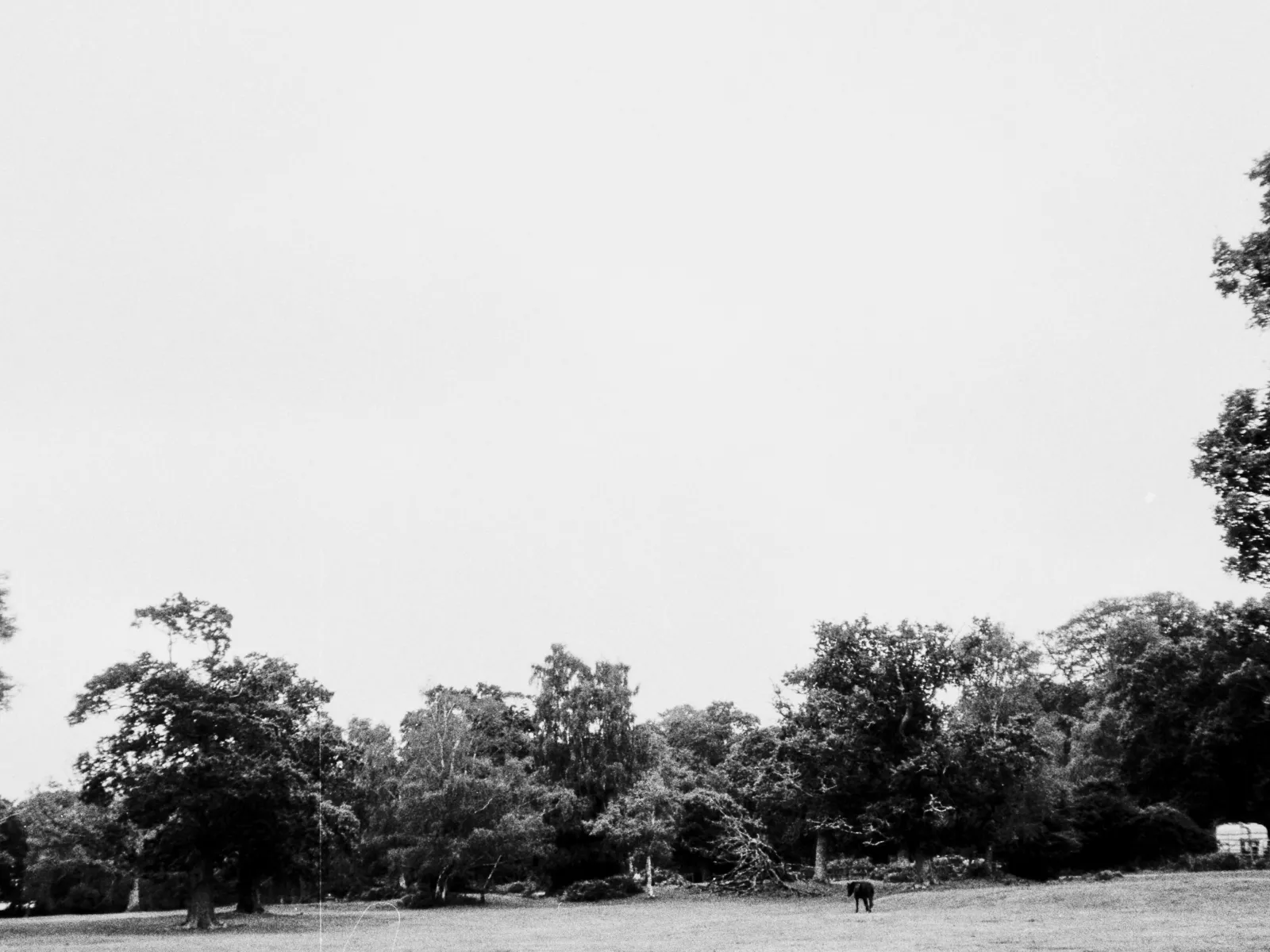 Home Inspectors in Davidson, NC, Mecklenburg, 28036,28035 Home Inspections, Certified Home Inspectors, Residential and Commercial Home Inspections in Davidson, NC, Mecklenburg, 28036,28035