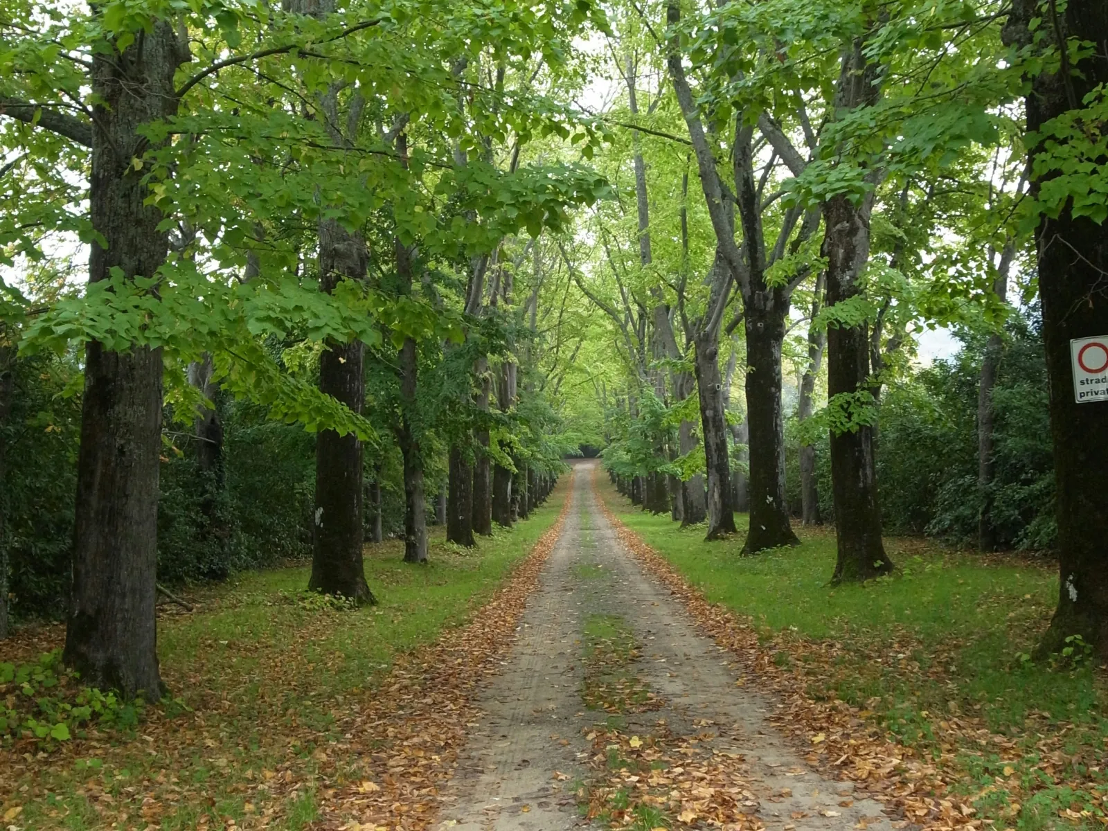 Home Inspectors in Union Grove, NC, Iredell, 28689 Home Inspections, Certified Home Inspectors, Residential and Commercial Home Inspections in Union Grove, NC, Iredell, 28689