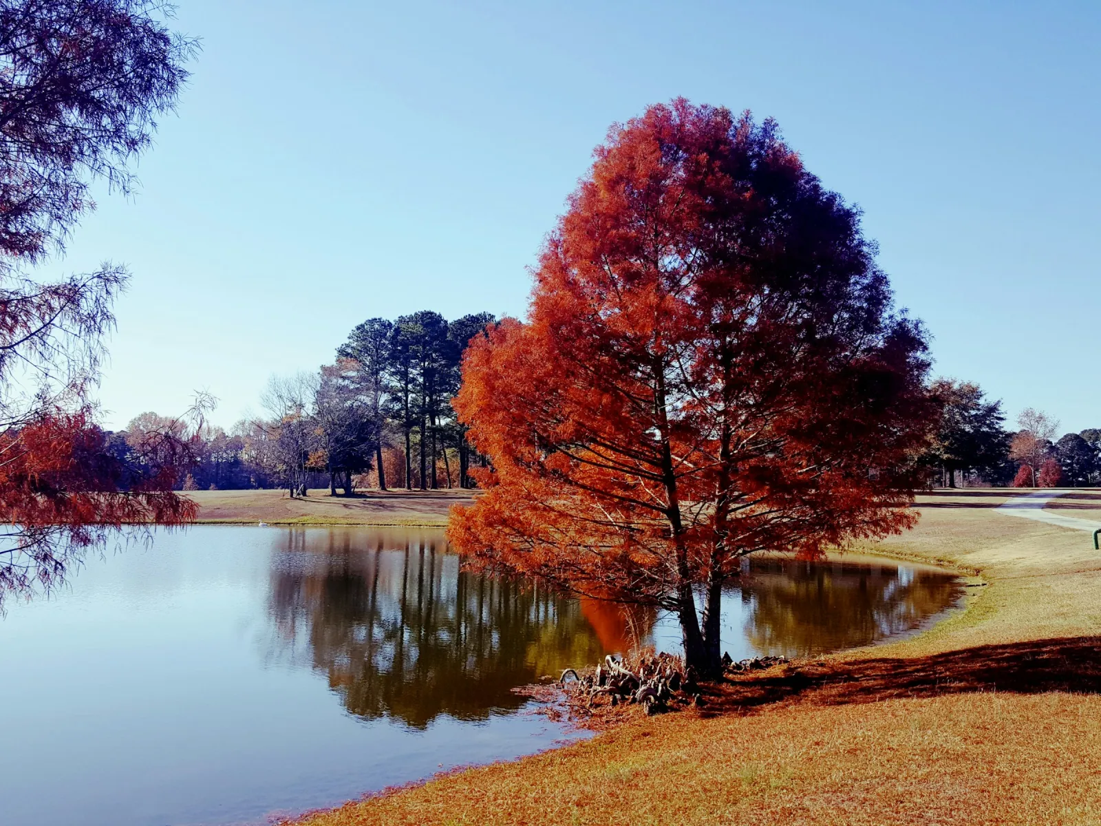 Home Inspectors in Seabrook, SC, Beaufort, 29940 Home Inspections, Certified Home Inspectors, Residential and Commercial Home Inspections in Seabrook, SC, Beaufort, 29940