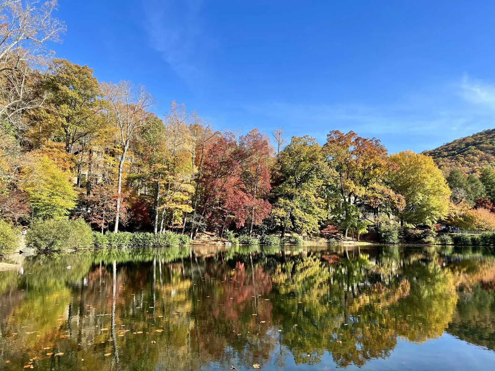 Home Inspectors in Greenwood, SC, Greenwood, 29646, 29649 Home Inspections, Certified Home Inspectors, Residential and Commercial Home Inspections in Greenwood, SC, Greenwood, 29646, 29649