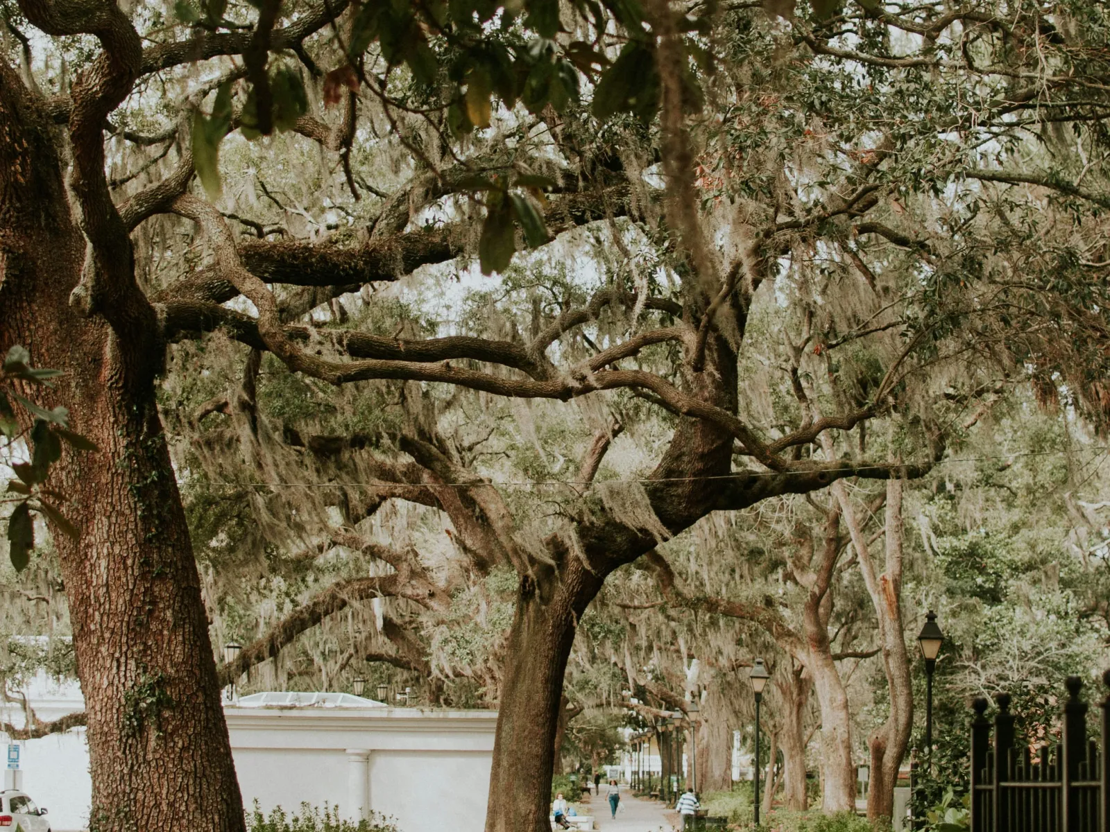 Home Inspectors in Portal, Georgia, Bulloch County, 30450 Home Inspections, Certified Home Inspectors, Residential and Commercial Home Inspections in Portal, Georgia, Bulloch County, 30450