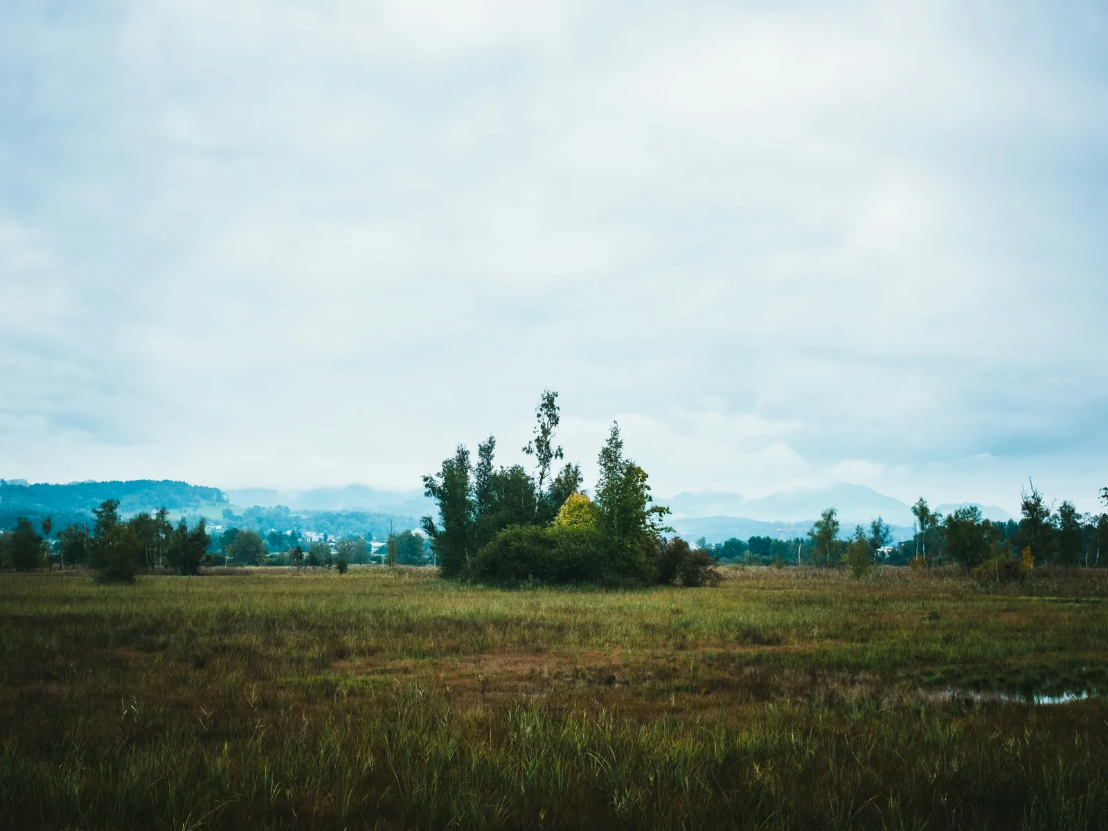 Home Inspectors in Lindale, GA, Floyd County, 30147 Home Inspections, Certified Home Inspectors, Residential and Commercial Home Inspections in Lindale, GA, Floyd County, 30147