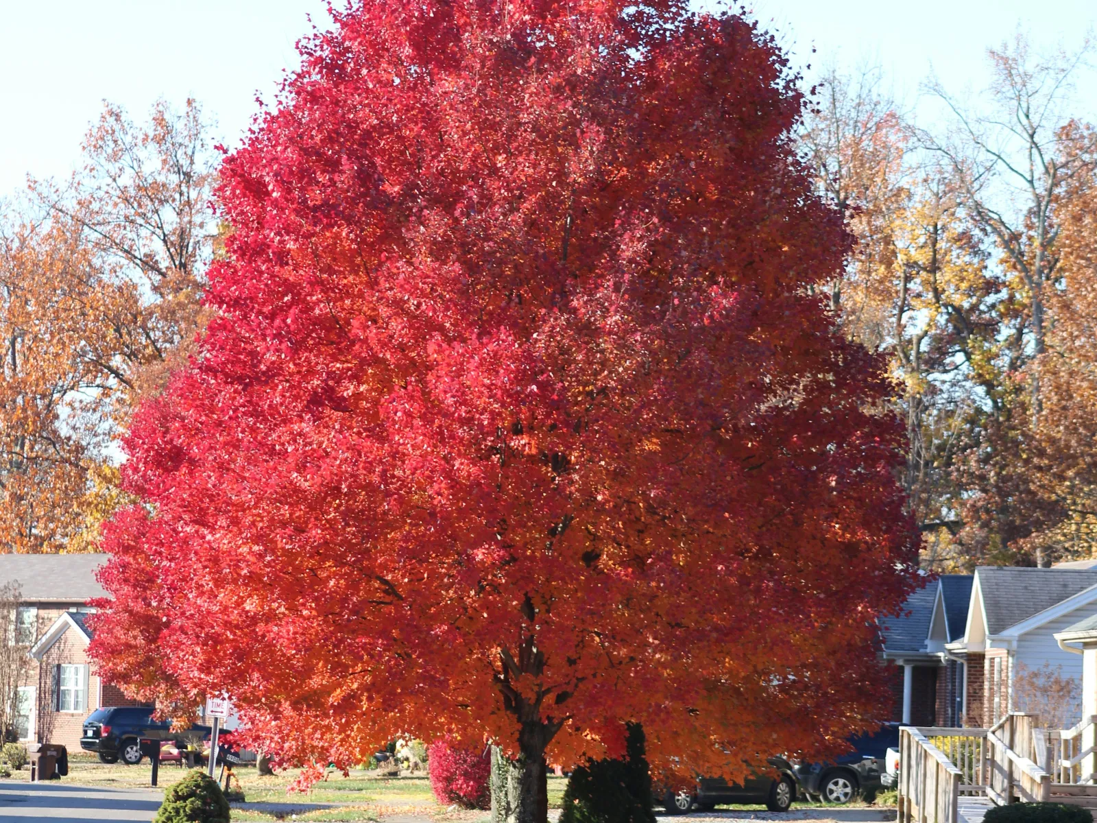 Home Inspectors in Southmont, NC, Davidson, 27351 Home Inspections, Certified Home Inspectors, Residential and Commercial Home Inspections in Southmont, NC, Davidson, 27351