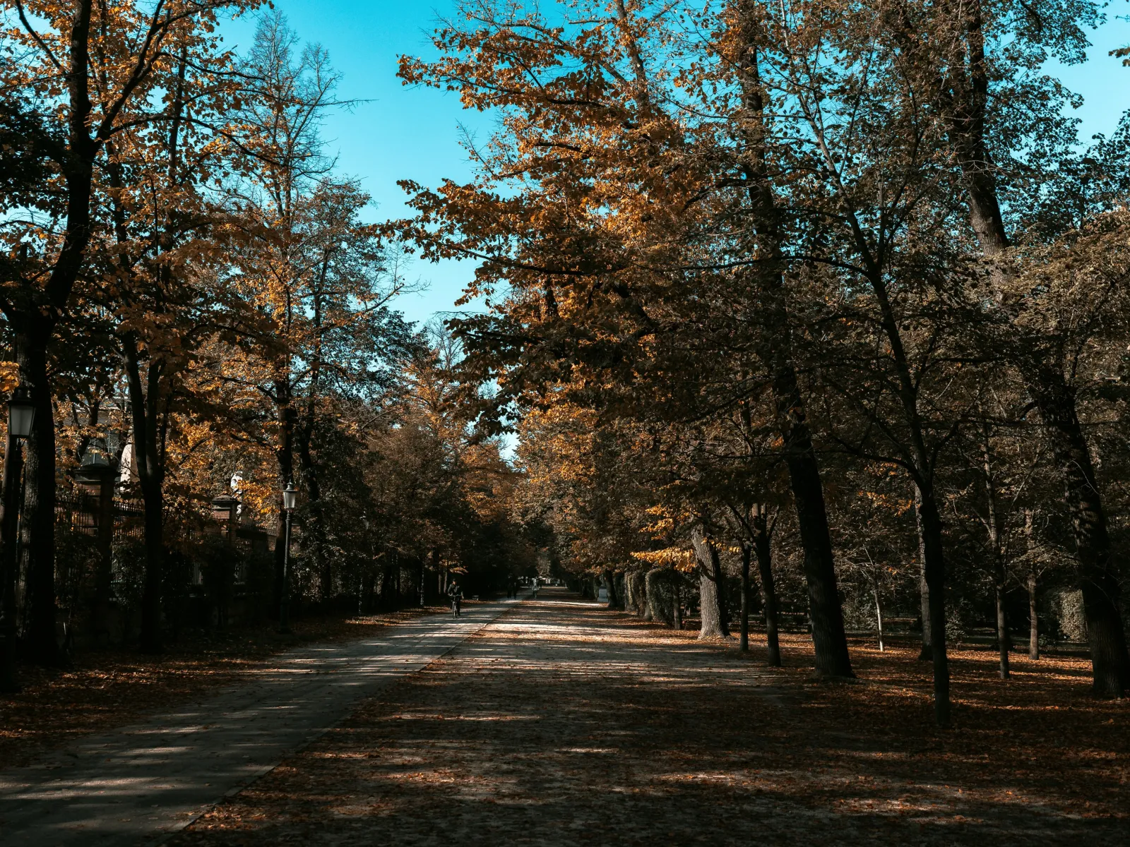 Home Inspectors in Wildwood, GA, Dade, 30757 Home Inspections, Certified Home Inspectors, Residential and Commercial Home Inspections in Wildwood, GA, Dade, 30757