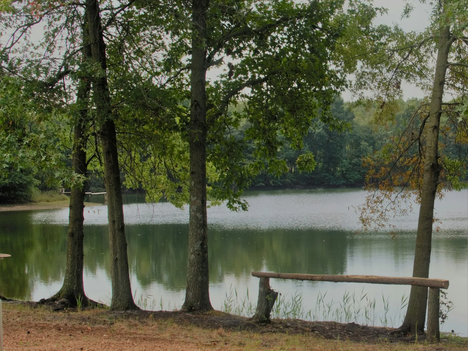 Home Inspectors in Mooresville, NC, Iredell, 28115, 28117 Home Inspections, Certified Home Inspectors, Residential and Commercial Home Inspections in Mooresville, NC, Iredell, 28115, 28117