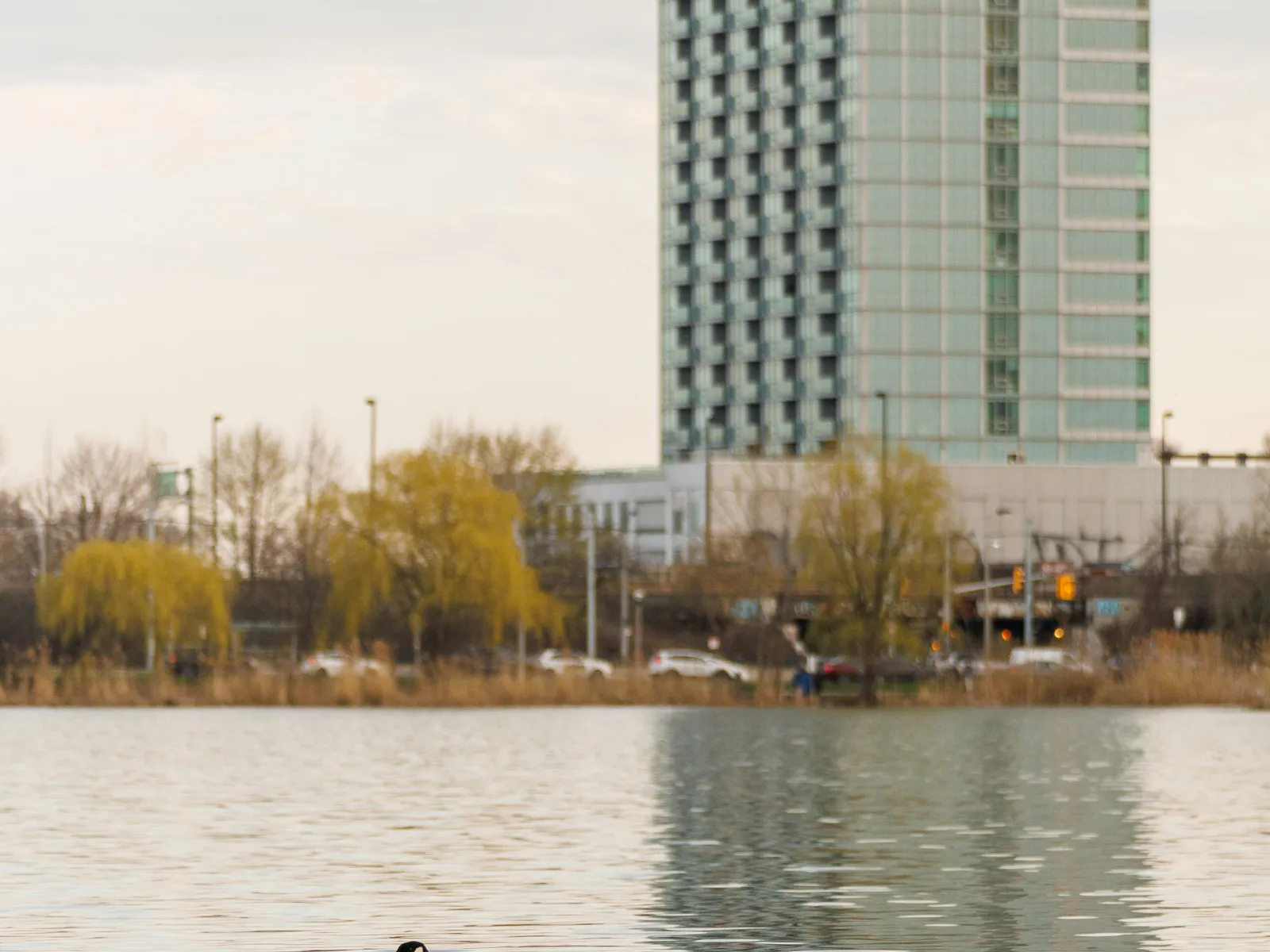 Residential and Commercial Inspection in Bowdon Junction, Bowdon Junction Home Inspections, Bowdon Junction Home Inspector, a home pro inspector in Bowdon Junction, FAA Certified Drone Inspections in Bowdon Junction, Sewer Scope Inspections in Bowdon Junction, FAQs