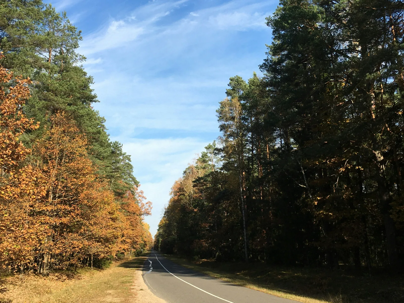 Home Inspectors in Elon, NC, Alamance County, 27244 Home Inspections, Certified Home Inspectors, Residential and Commercial Home Inspections in Elon, NC, Alamance County, 27244