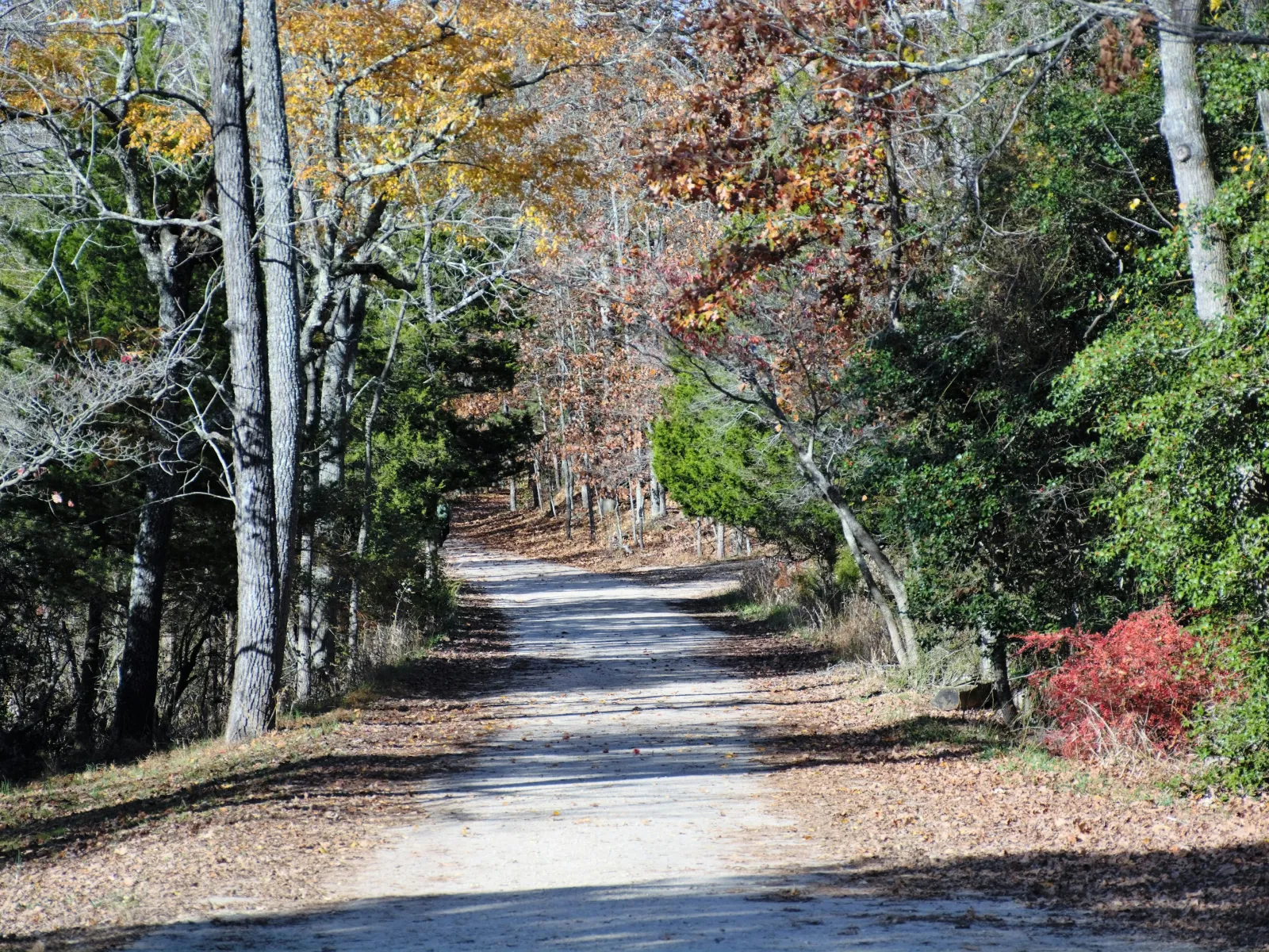 Home Inspectors in Connelly Springs, NC, Burke, 28612 Home Inspections, Certified Home Inspectors, Residential and Commercial Home Inspections in Connelly Springs, NC, Burke, 28612