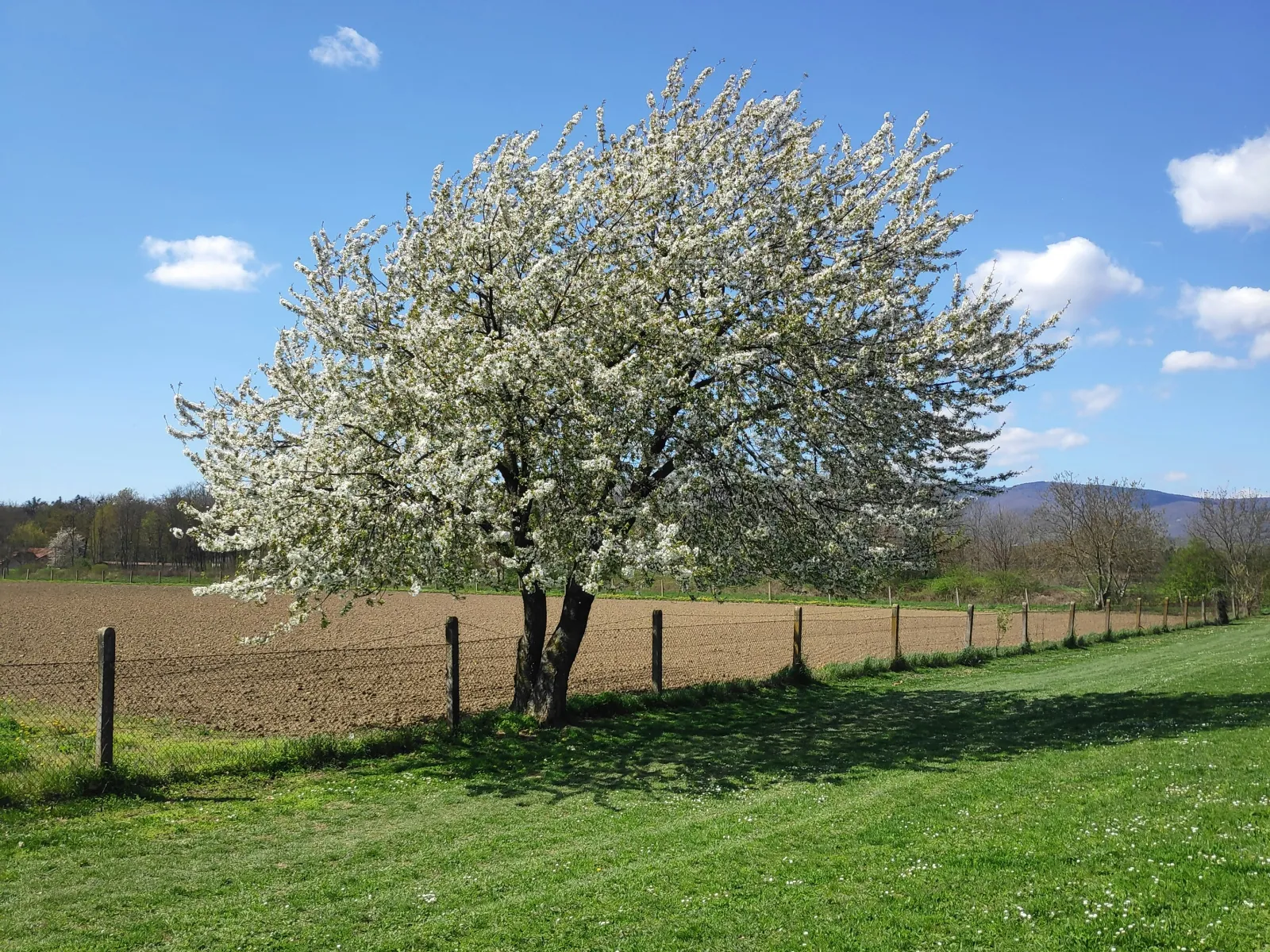 Home Inspectors in Rock Spring, GA, Walker, 30739 Home Inspections, Certified Home Inspectors, Residential and Commercial Home Inspections in Rock Spring, GA, Walker, 30739