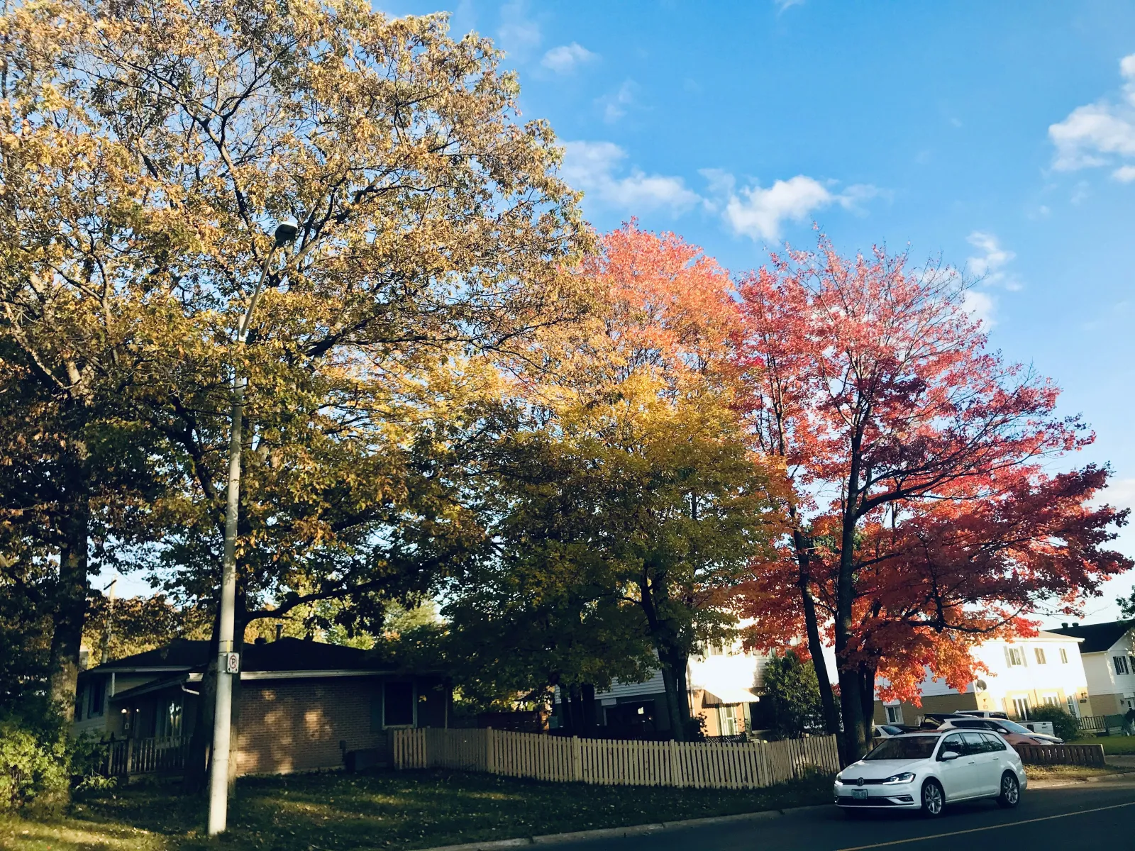 Home Inspectors in Lexington, GA, Oglethorpe County, 30648 Home Inspections, Certified Home Inspectors, Residential and Commercial Home Inspections in Lexington, GA, Oglethorpe County, 30648