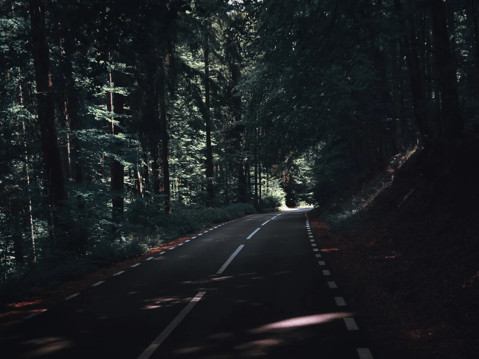 Residential and Commercial Inspection in Shady Dale, Shady Dale Home Inspections, Shady Dale Home Inspector, a home pro inspector in Shady Dale, FAA Certified Drone Inspections in Shady Dale, Sewer Scope Inspections in Shady Dale, FAQs