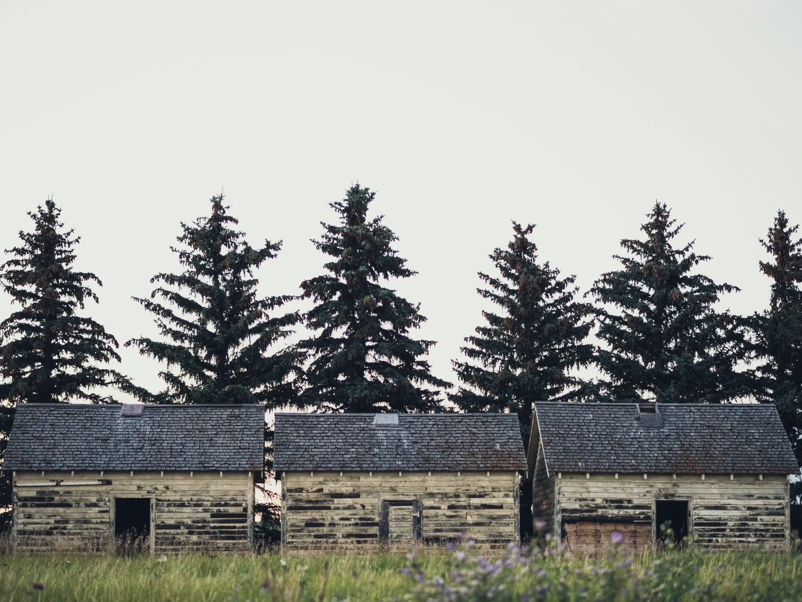 Home Inspectors in Old Fort, TN, Bradley County, 37362 Home Inspections, Certified Home Inspectors, Residential and Commercial Home Inspections in Old Fort, TN, Bradley County, 37362