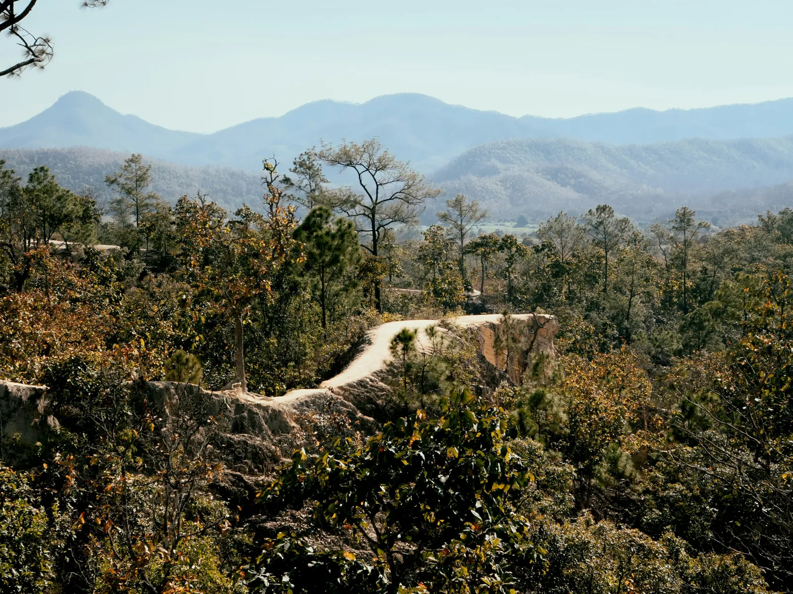 Home Inspectors in Browns Summit, NC, Guilford County, 27214 Home Inspections, Certified Home Inspectors, Residential and Commercial Home Inspections in Browns Summit, NC, Guilford County, 27214