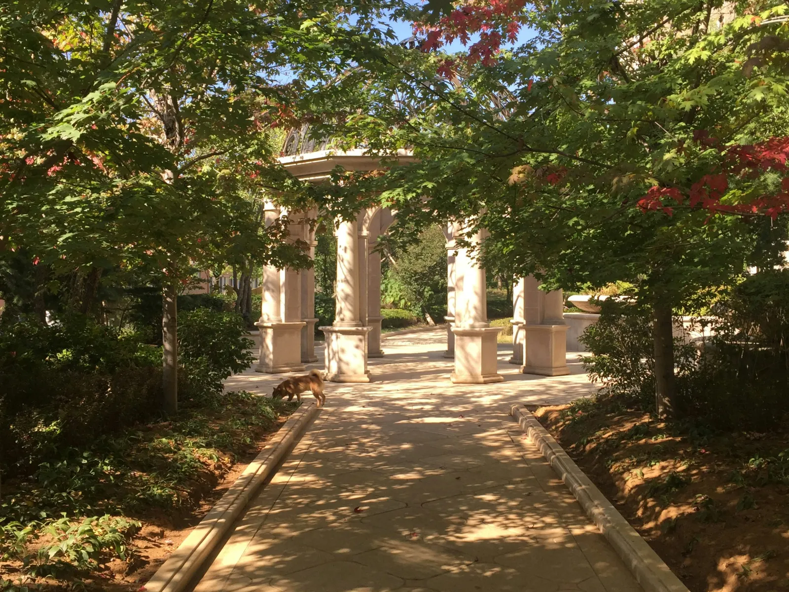 Home Inspectors in Sparta, GA, Hancock, 31087 Home Inspections, Certified Home Inspectors, Residential and Commercial Home Inspections in Sparta, GA, Hancock, 31087