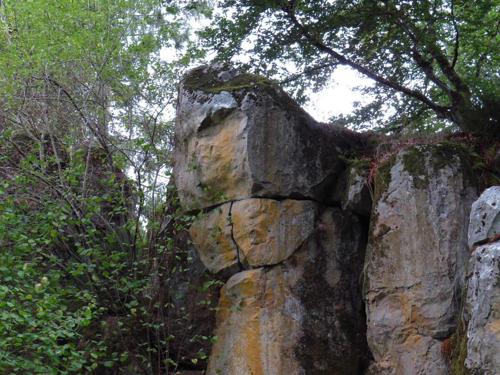 Home Inspectors in Granite Quarry, NC, Rowan, 28072 Home Inspections, Certified Home Inspectors, Residential and Commercial Home Inspections in Granite Quarry, NC, Rowan, 28072