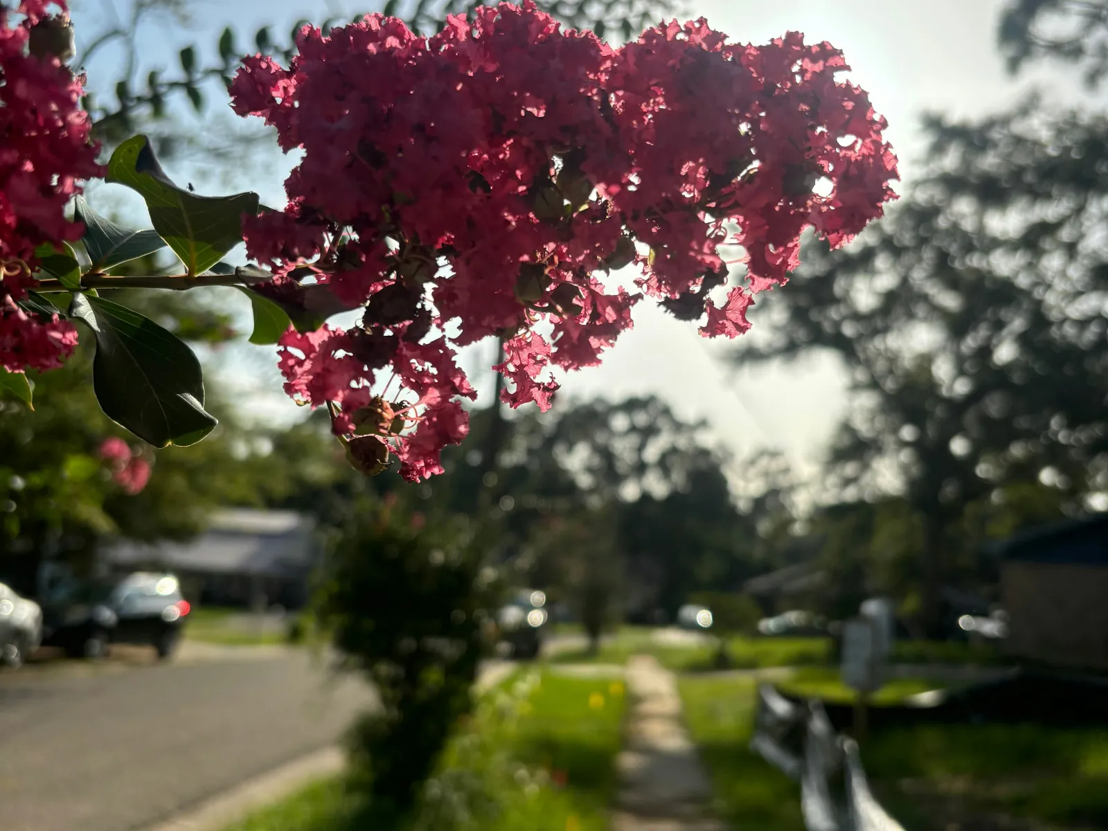 Home Inspectors in Norwood, GA, Warren County, 30821 Home Inspections, Certified Home Inspectors, Residential and Commercial Home Inspections in Norwood, GA, Warren County, 30821