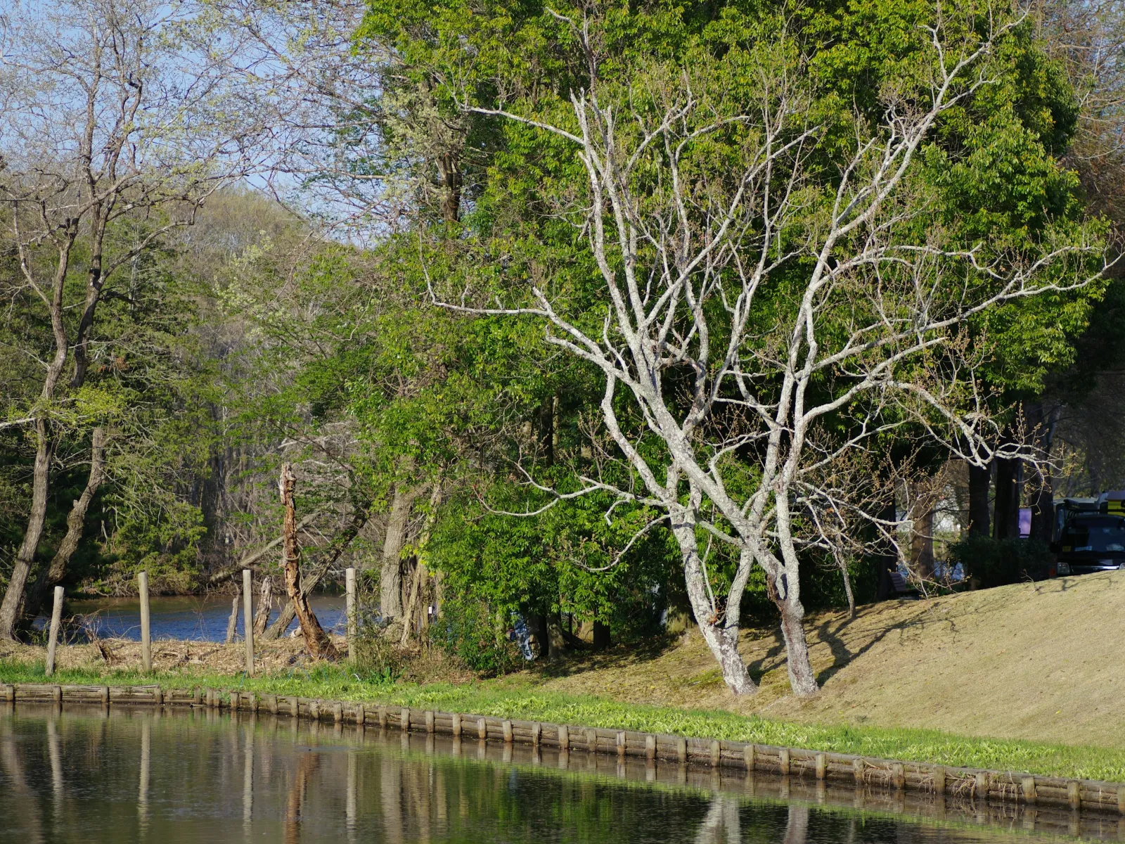 Home Inspectors in Boykin, SC, Kershaw, 29175 Home Inspections, Certified Home Inspectors, Residential and Commercial Home Inspections in Boykin, SC, Kershaw, 29175