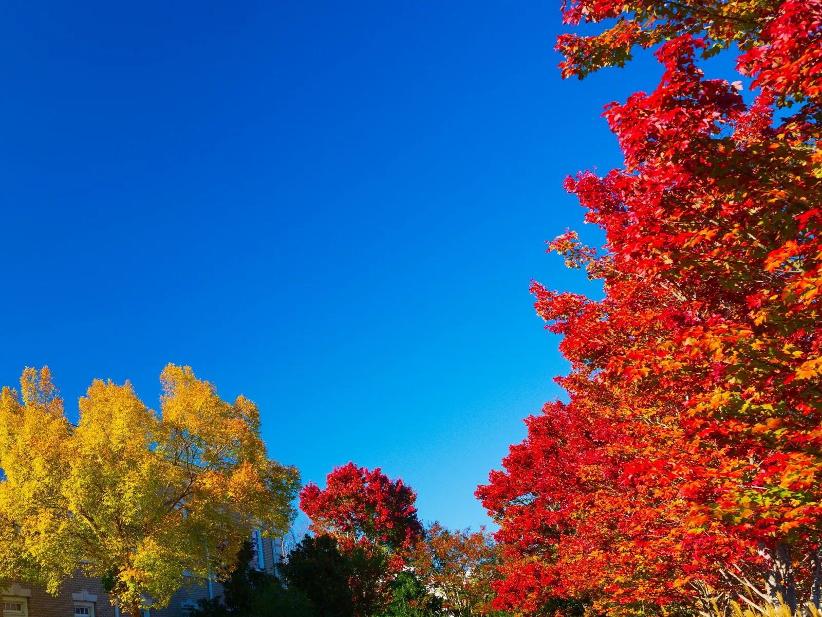 Home Inspectors in McIntyre, GA, Wilkinson County, 31054 Home Inspections, Certified Home Inspectors, Residential and Commercial Home Inspections in McIntyre, GA, Wilkinson County, 31054