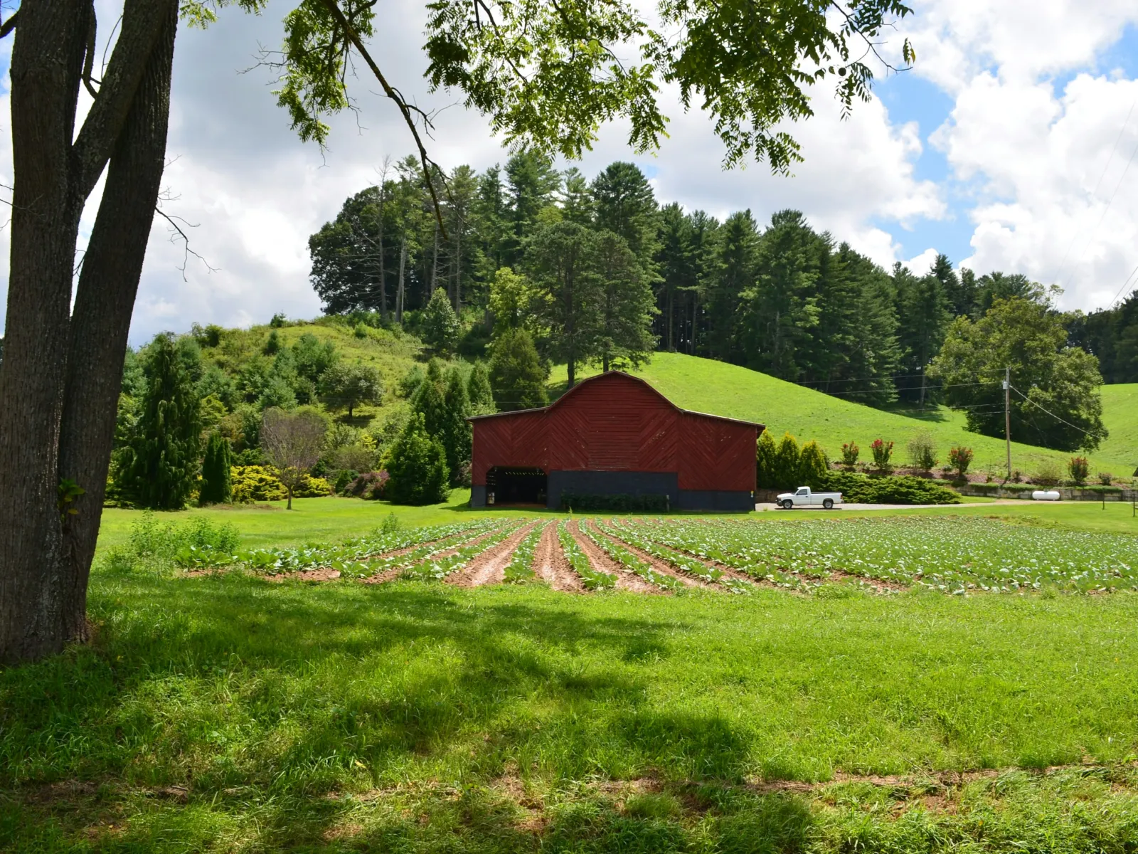 Home Inspectors in Ellenboro, NC, Rutherford County, 28040 Home Inspections, Certified Home Inspectors, Residential and Commercial Home Inspections in Ellenboro, NC, Rutherford County, 28040