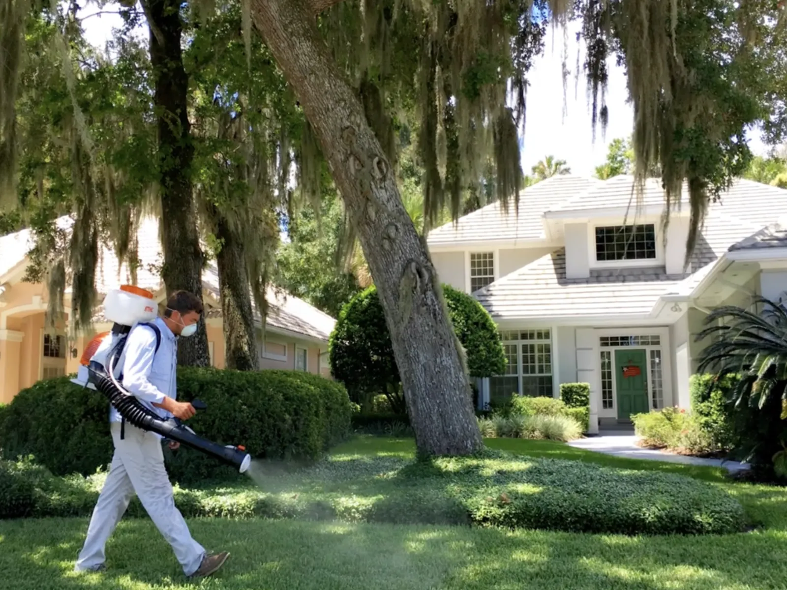 Person wearing mask spraying lawn with gardening equipment in front of suburban house on sunny day