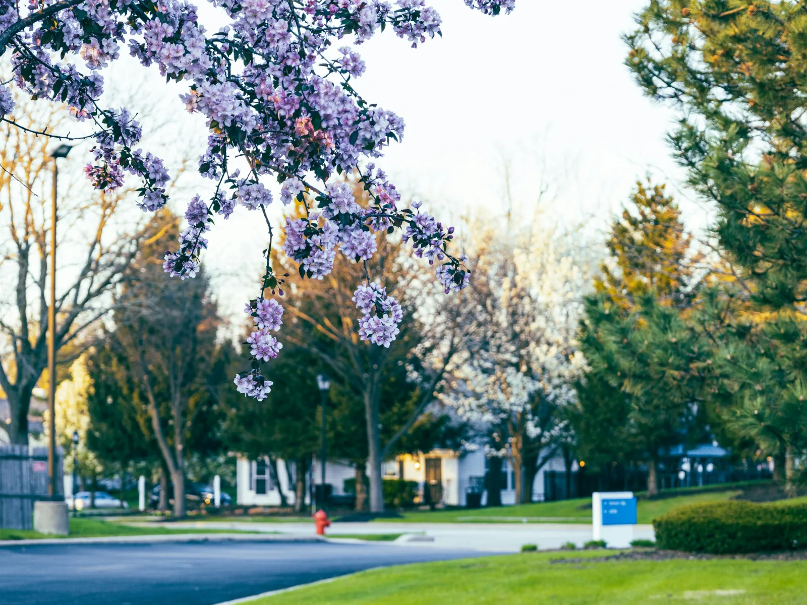 Home Inspectors in Bloomingdale, Bloomingdale Home Inspections, Certified Home Inspectors, Residential and Commercial Home Inspections in Bloomingdale